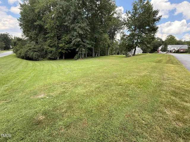 a view of a field with trees in front of it