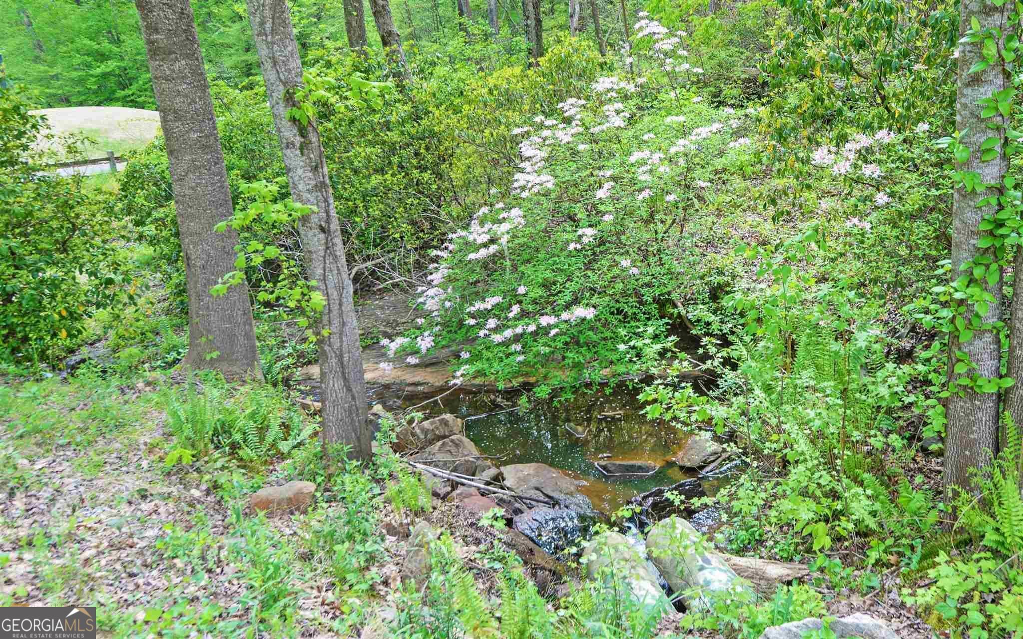 4835 Upper Berkshire Road Flowery Branch, GA 30542 - Photo 11 of 16 a plant view in yard