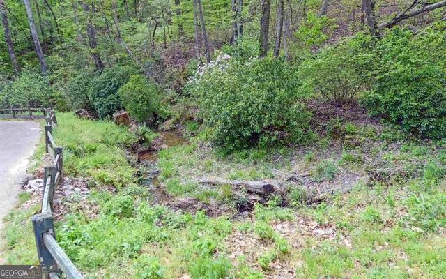 a view of a backyard with potted plants and large trees