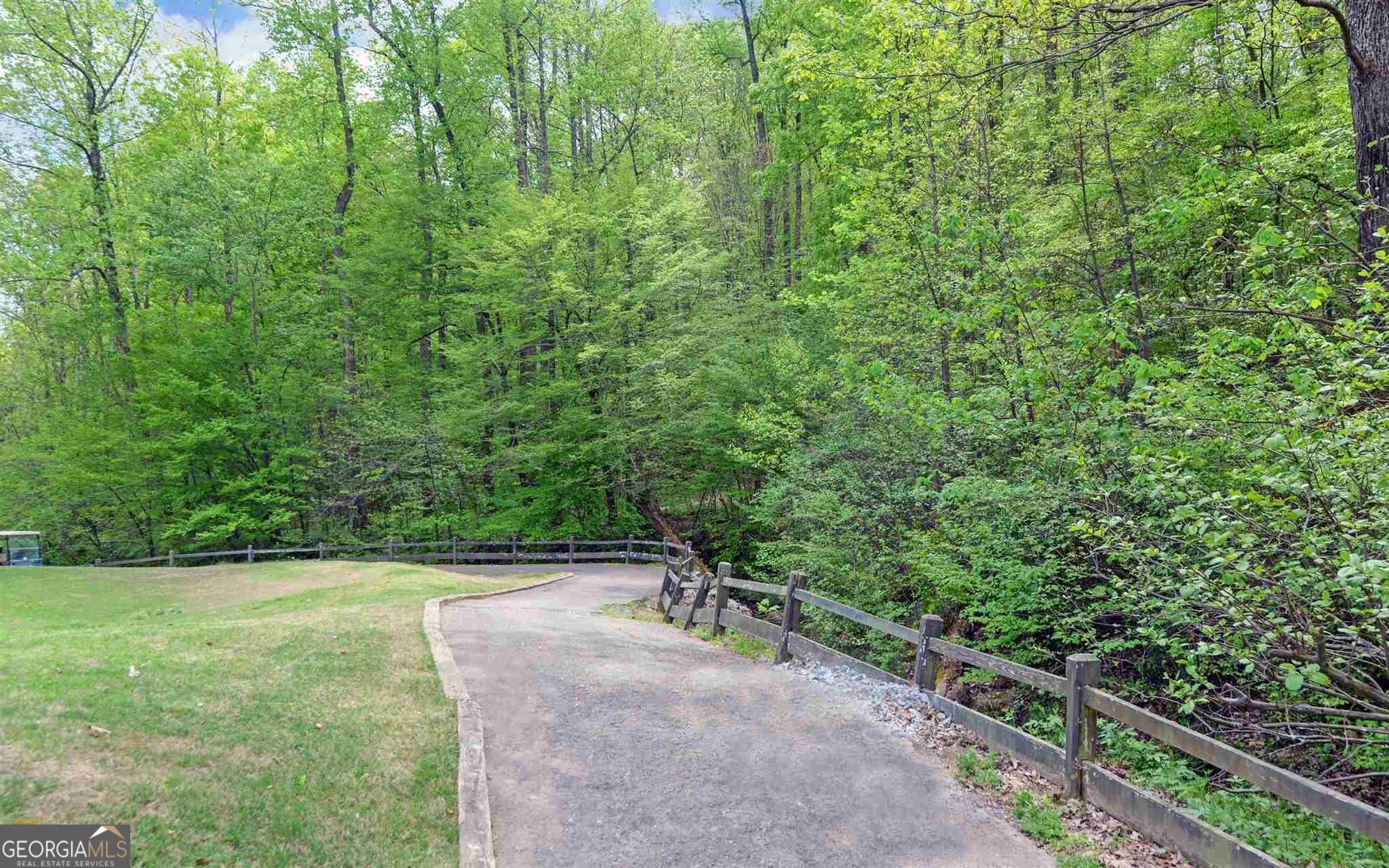 4835 Upper Berkshire Road Flowery Branch, GA 30542 - Photo 13 of 16 a view of a backyard with potted plants and large trees