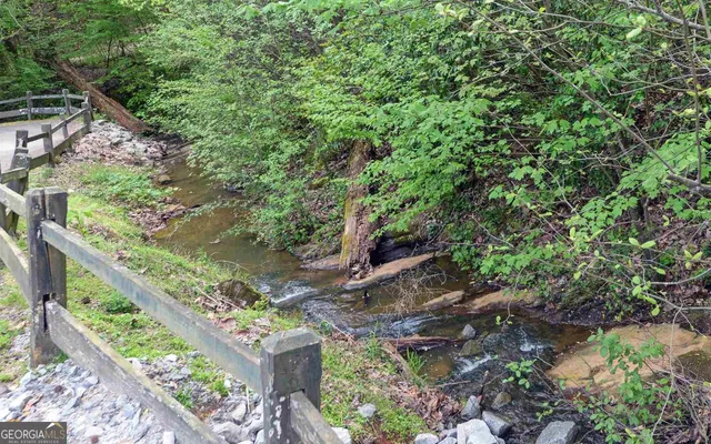 a garden view with a bench