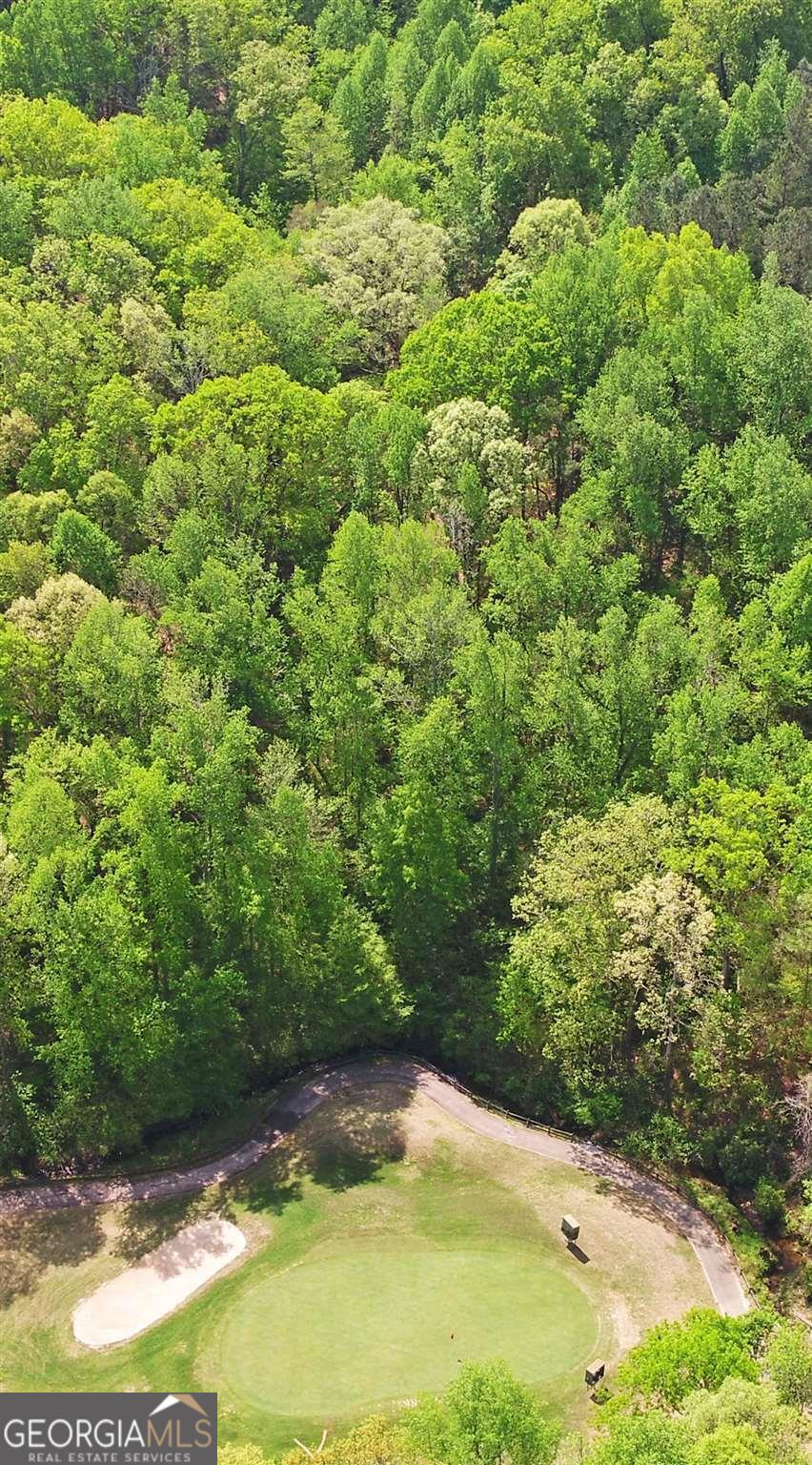 4835 Upper Berkshire Road Flowery Branch, GA 30542 - Photo 3 of 16 a view of a yard