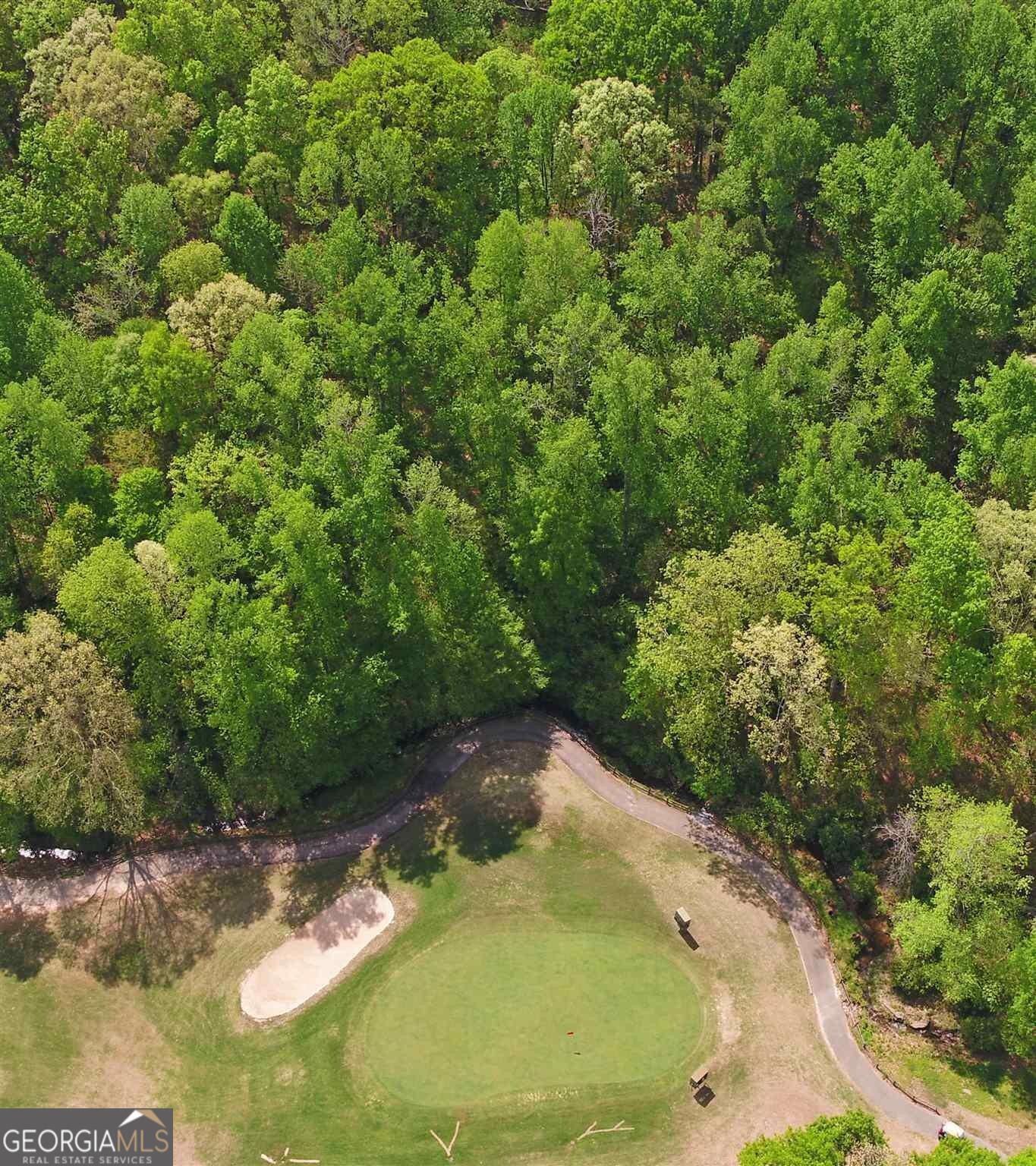 4835 Upper Berkshire Road Flowery Branch, GA 30542 - Photo 4 of 16 a view of a lake view