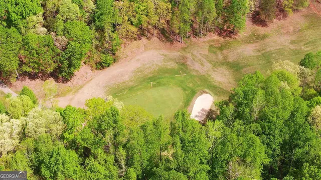 a plant view in yard