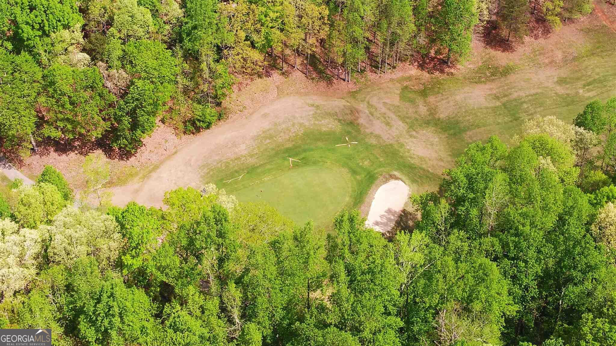 4835 Upper Berkshire Road Flowery Branch, GA 30542 - Photo 10 of 16 a close up of a yard
