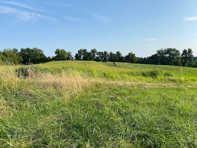 603 Cane Run Road Carlisle, KY 40311 - Photo 20 of 32 Gallery Image 20