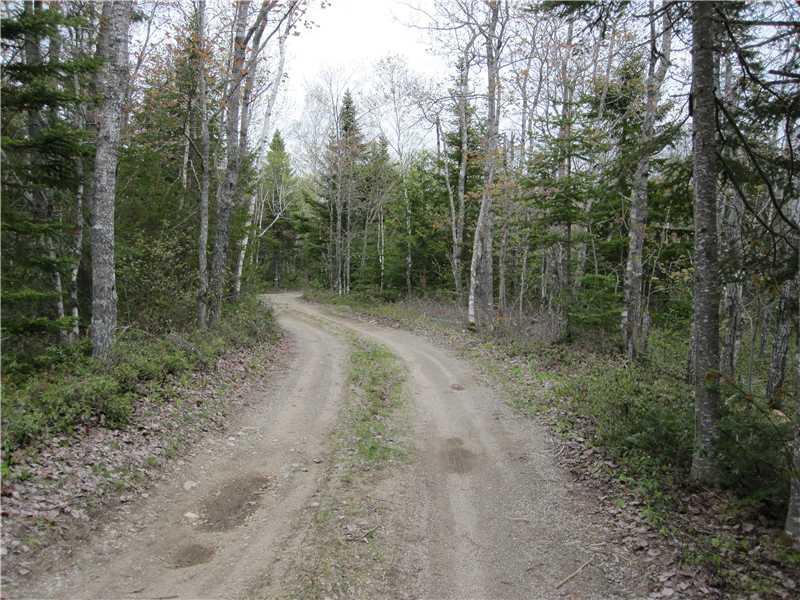 0 Off Gib's Camp Road Jonesboro, ME 04648 - Photo 3 of 4 Land.