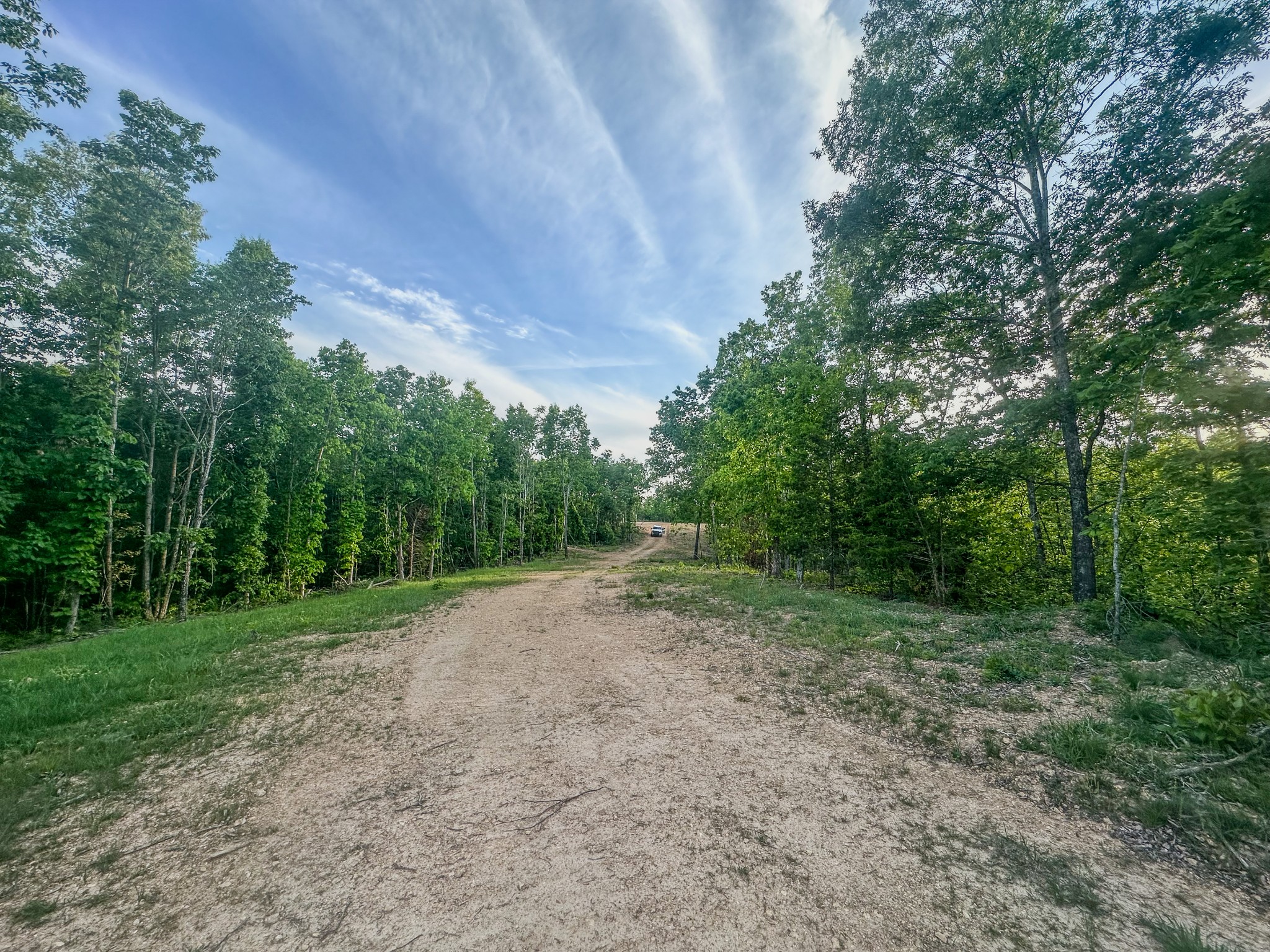 0 Fire Tower Road Centerville, TN 37033 - Photo 11 of 63 a view of a field with trees in the background