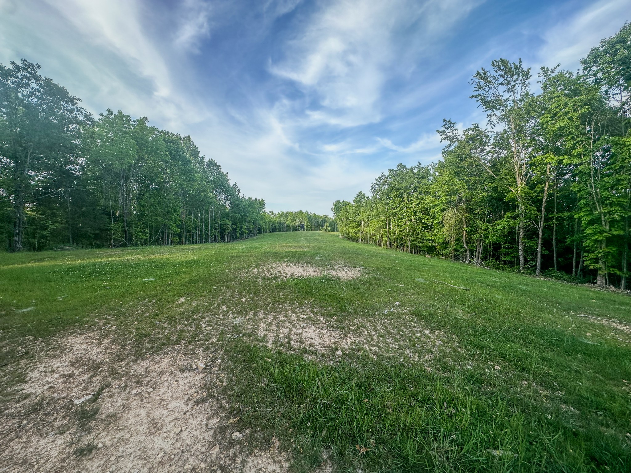 0 Fire Tower Road Centerville, TN 37033 - Photo 12 of 63 a view of a grassy field with trees in the background