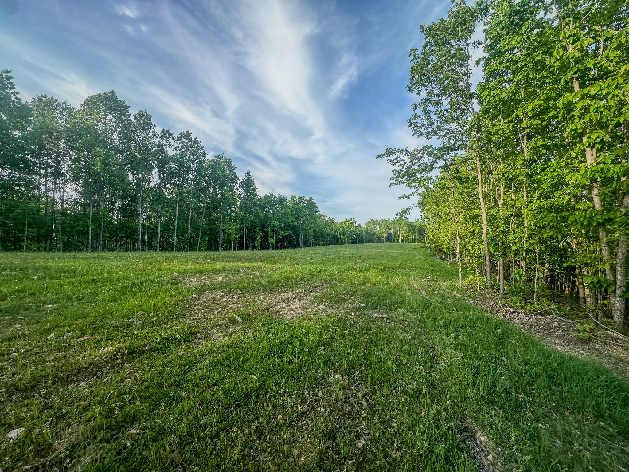 0 Fire Tower Road Centerville, TN 37033 - Photo 13 of 63 a view of a green field with wooden fence