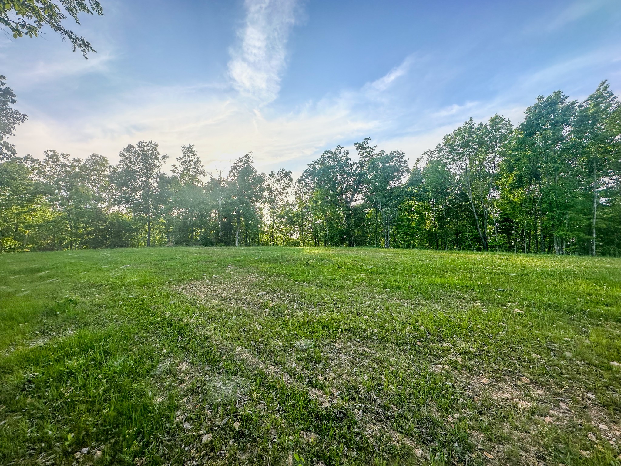 0 Fire Tower Road Centerville, TN 37033 - Photo 14 of 63 a view of a green field with wooden fence