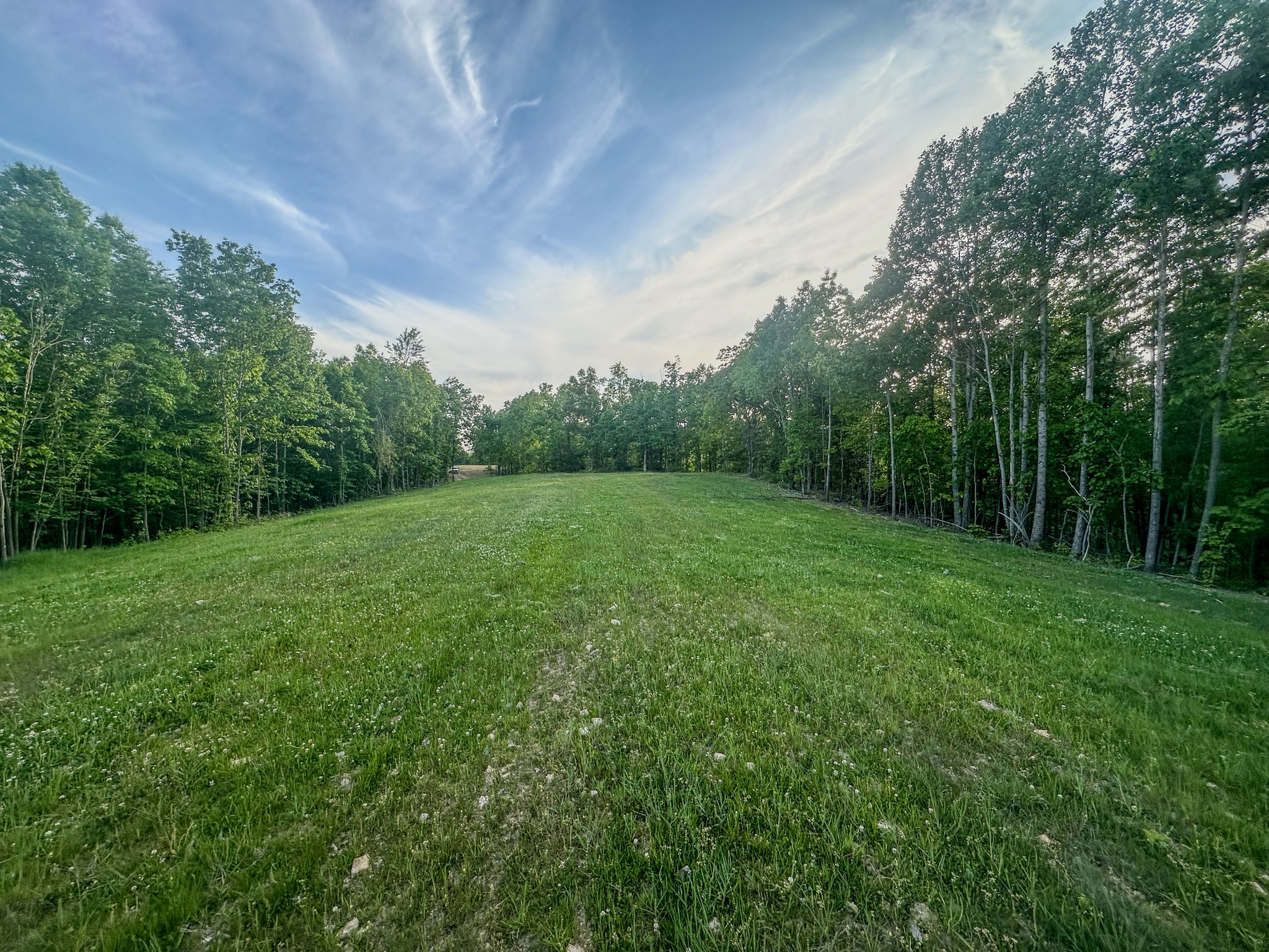 0 Fire Tower Road Centerville, TN 37033 - Photo 15 of 63 a view of a big yard with large trees