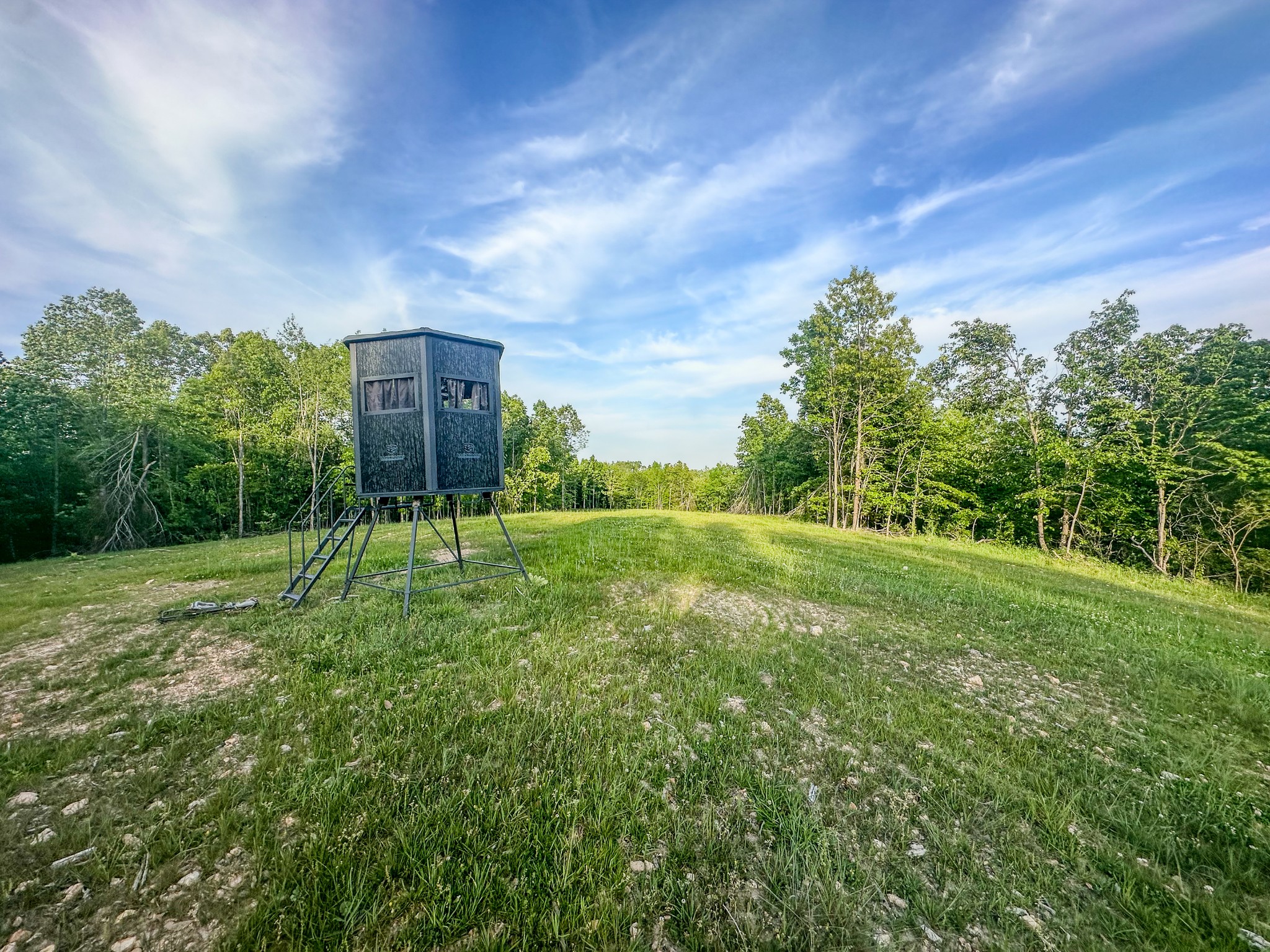 0 Fire Tower Road Centerville, TN 37033 - Photo 16 of 63 a view of a big yard with large trees