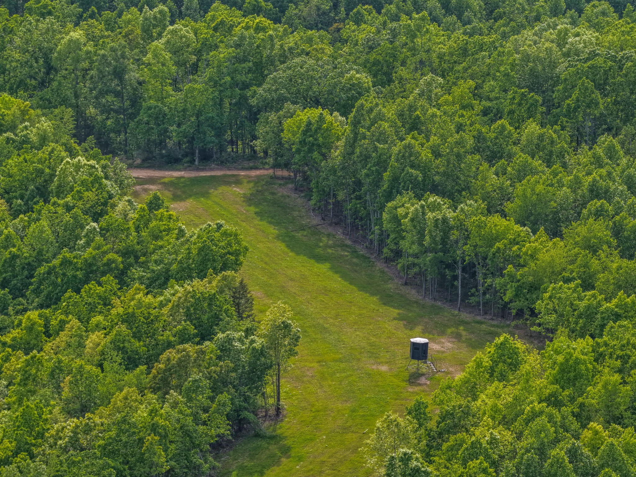0 Fire Tower Road Centerville, TN 37033 - Photo 17 of 63 a view of an outdoor space