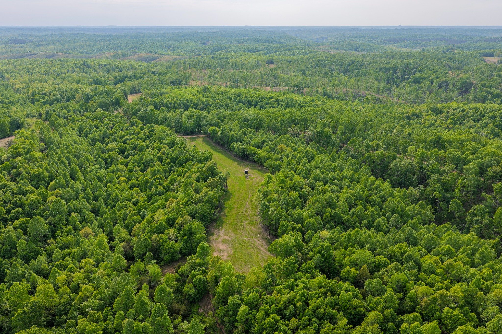 0 Fire Tower Road Centerville, TN 37033 - Photo 18 of 63 a view of a lush green forest with trees and some houses