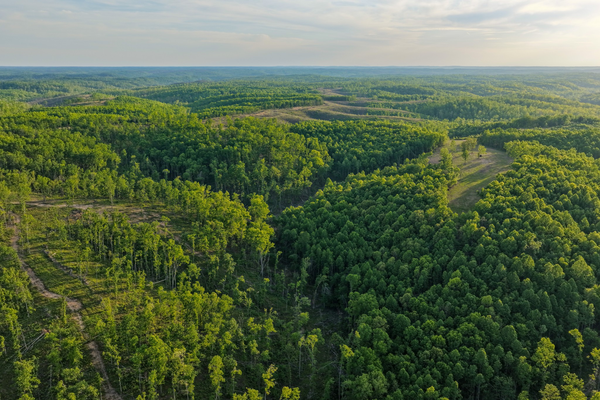 0 Fire Tower Road Centerville, TN 37033 - Photo 19 of 63 a view of a field with an ocean