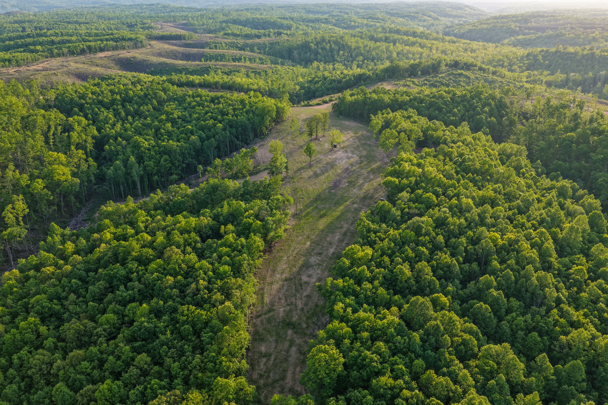 0 Fire Tower Road Centerville, TN 37033 - Photo 20 of 63 a view of a lake with green field
