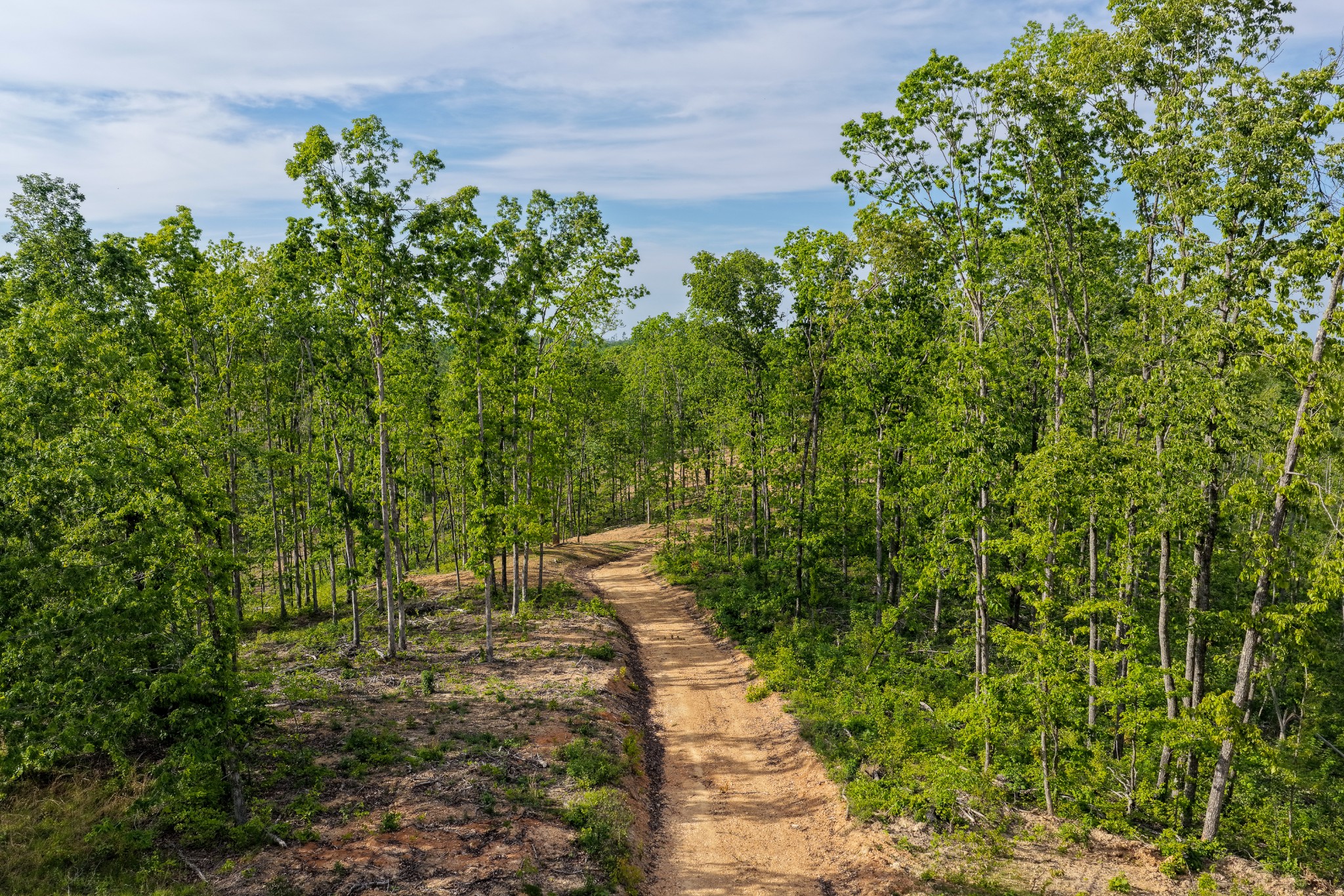 0 Fire Tower Road Centerville, TN 37033 - Photo 2 of 63 a view of a garden with plants