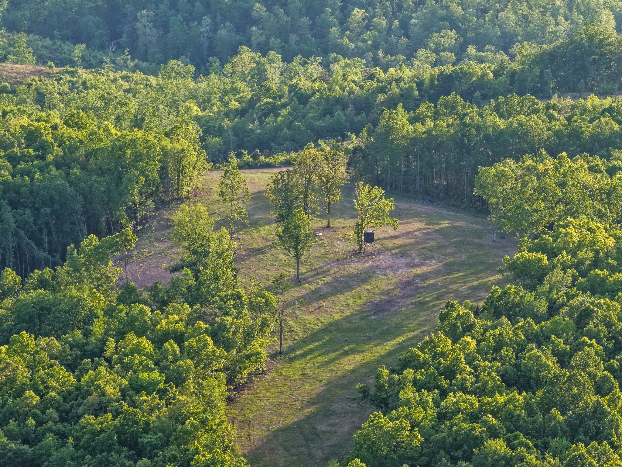 0 Fire Tower Road Centerville, TN 37033 - Photo 21 of 63 a view of a yard with plants