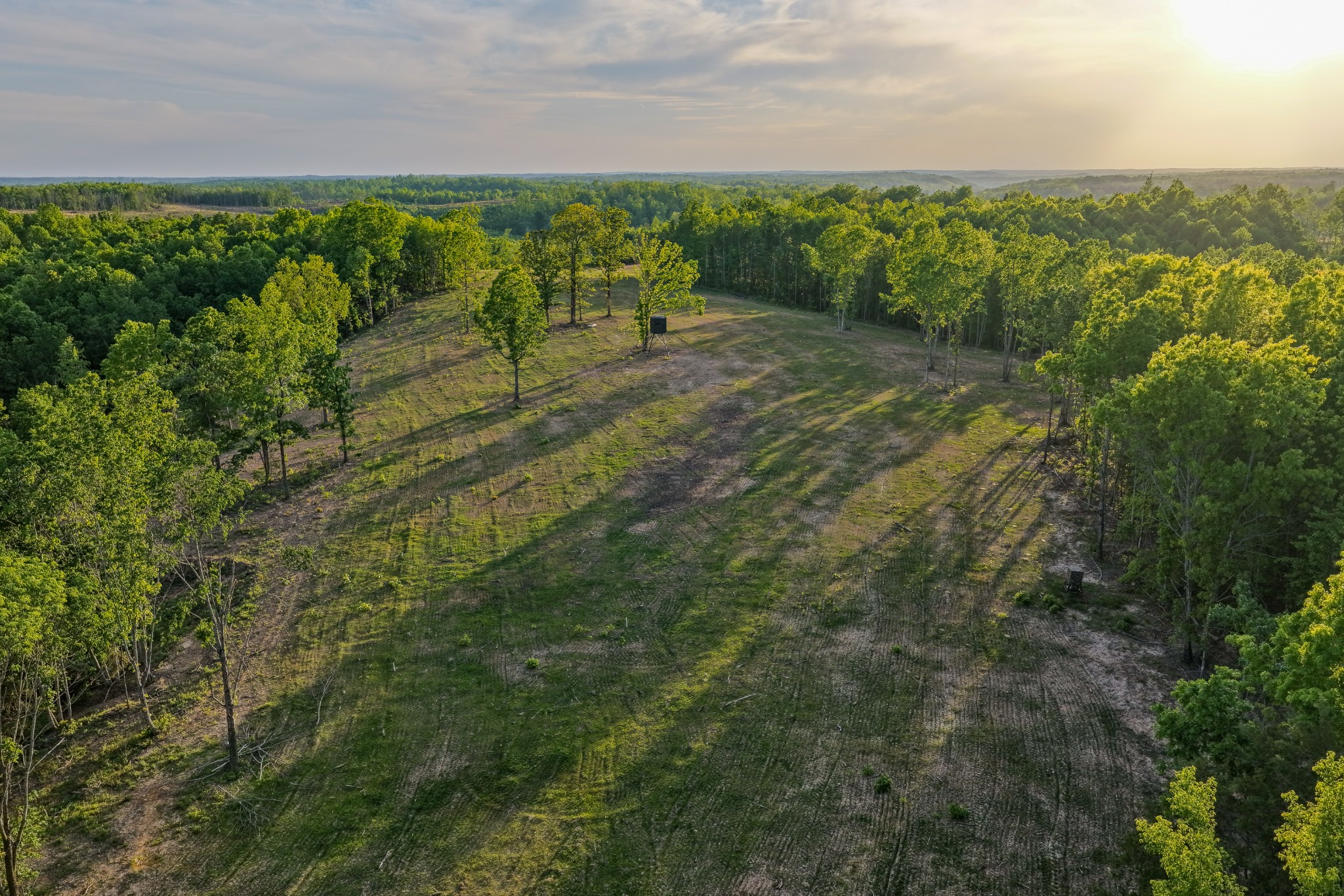 0 Fire Tower Road Centerville, TN 37033 - Photo 22 of 63 a view of a green field with lots of bushes