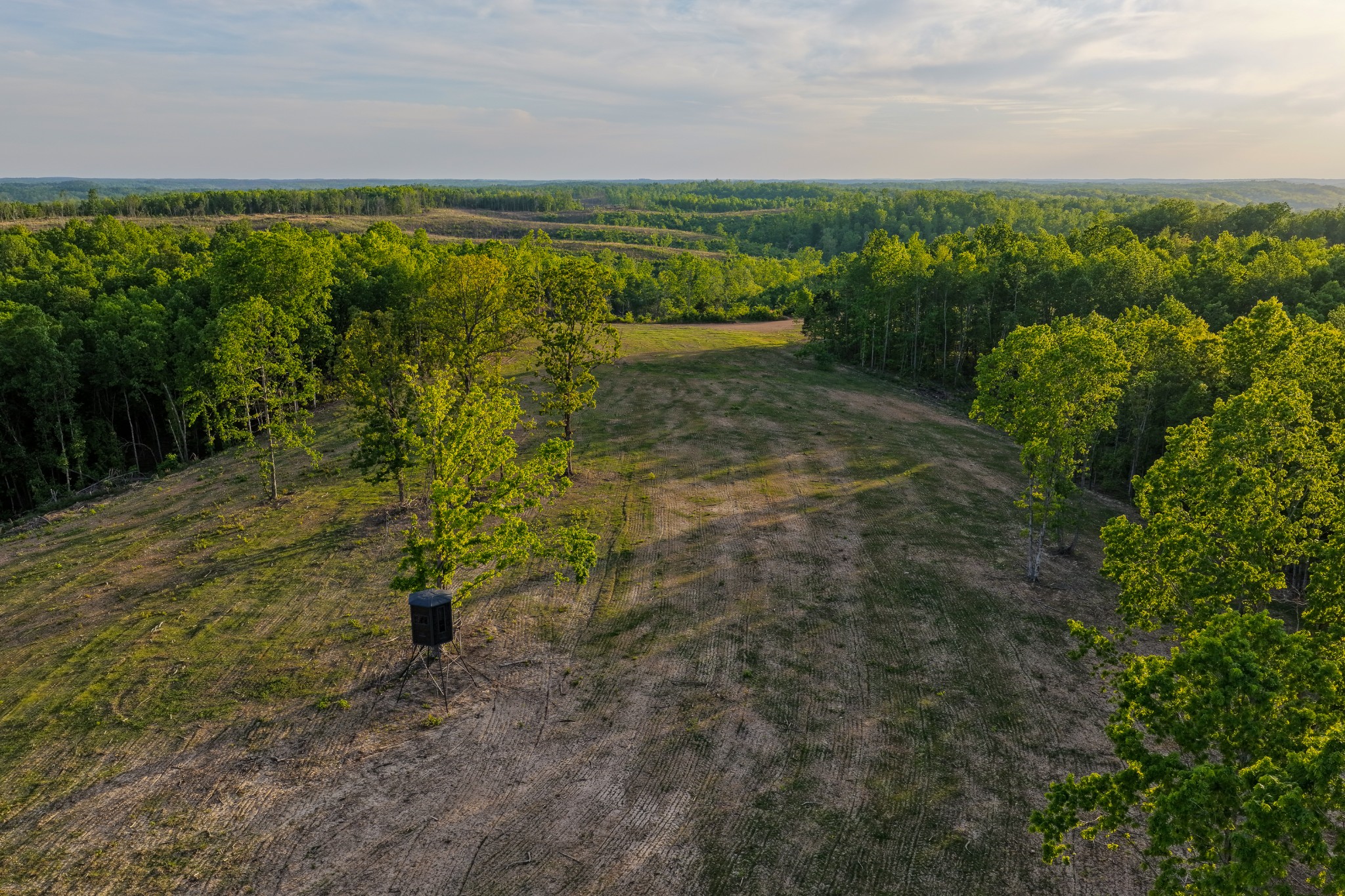 0 Fire Tower Road Centerville, TN 37033 - Photo 23 of 63 a view of a garden with an outdoor space