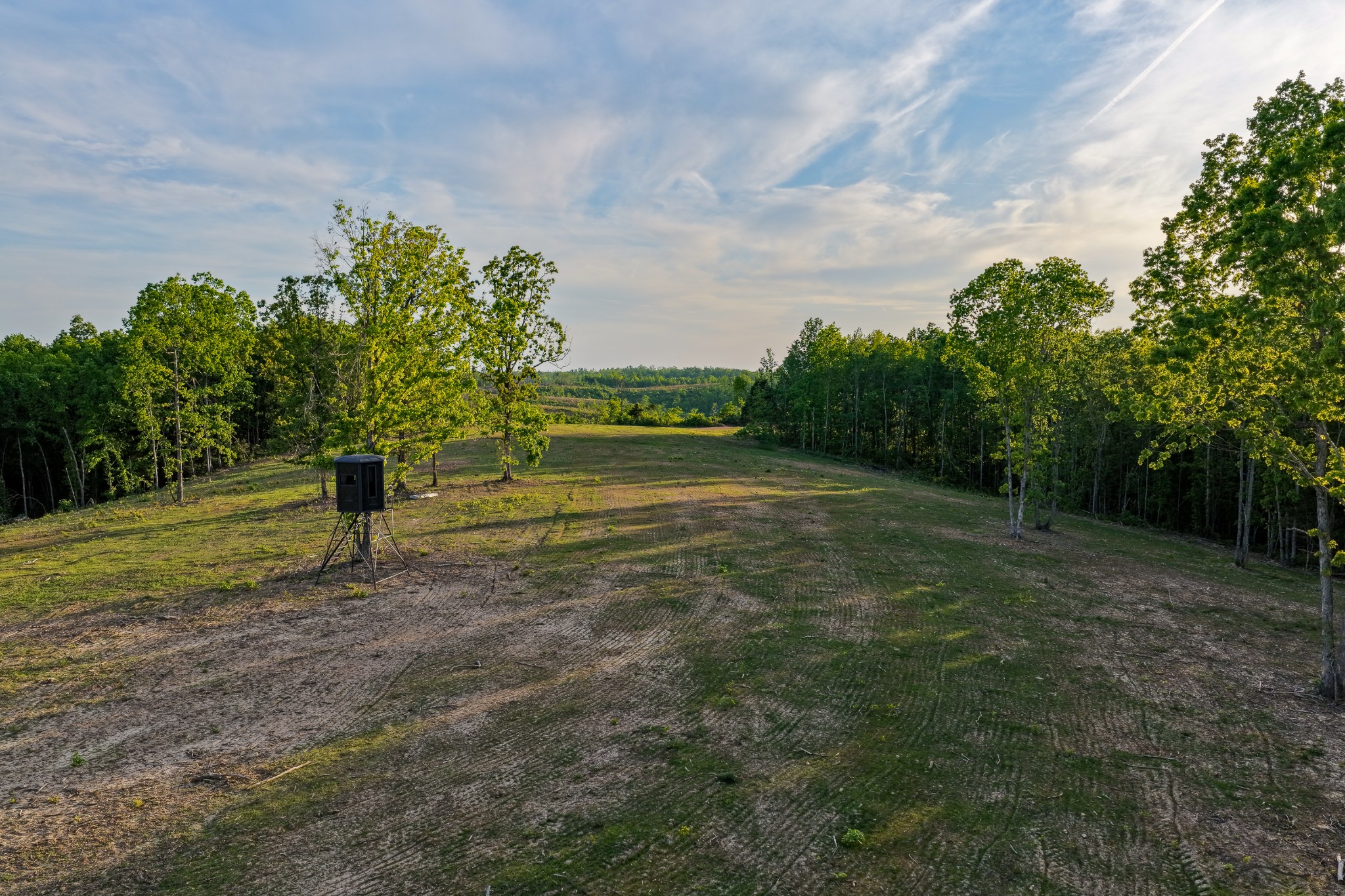 0 Fire Tower Road Centerville, TN 37033 - Photo 24 of 63 a view of a park