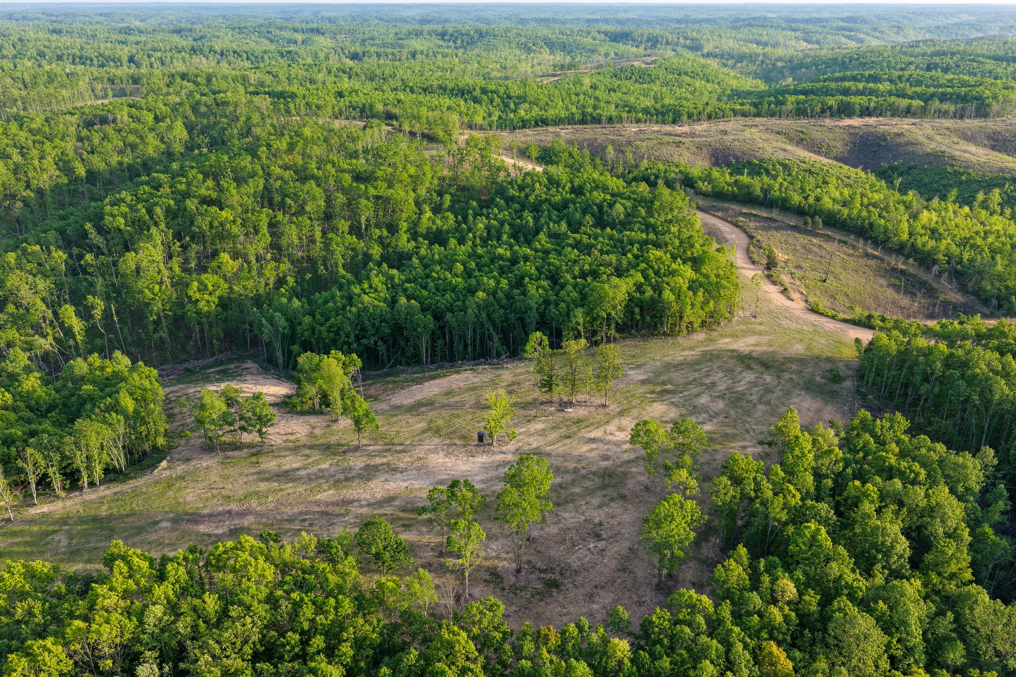 0 Fire Tower Road Centerville, TN 37033 - Photo 25 of 63