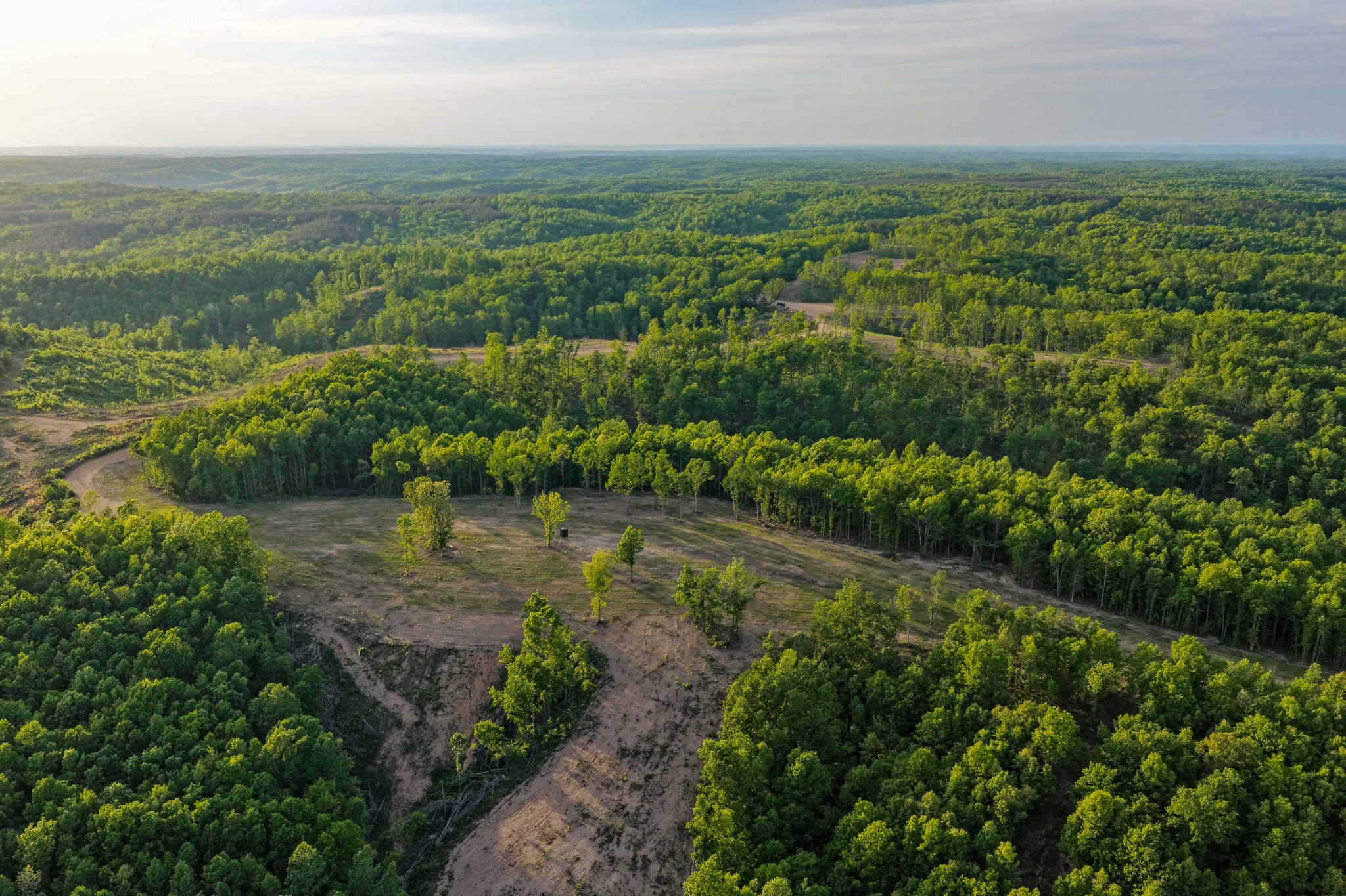 0 Fire Tower Road Centerville, TN 37033 - Photo 26 of 63 an aerial view of residential houses with outdoor space and trees