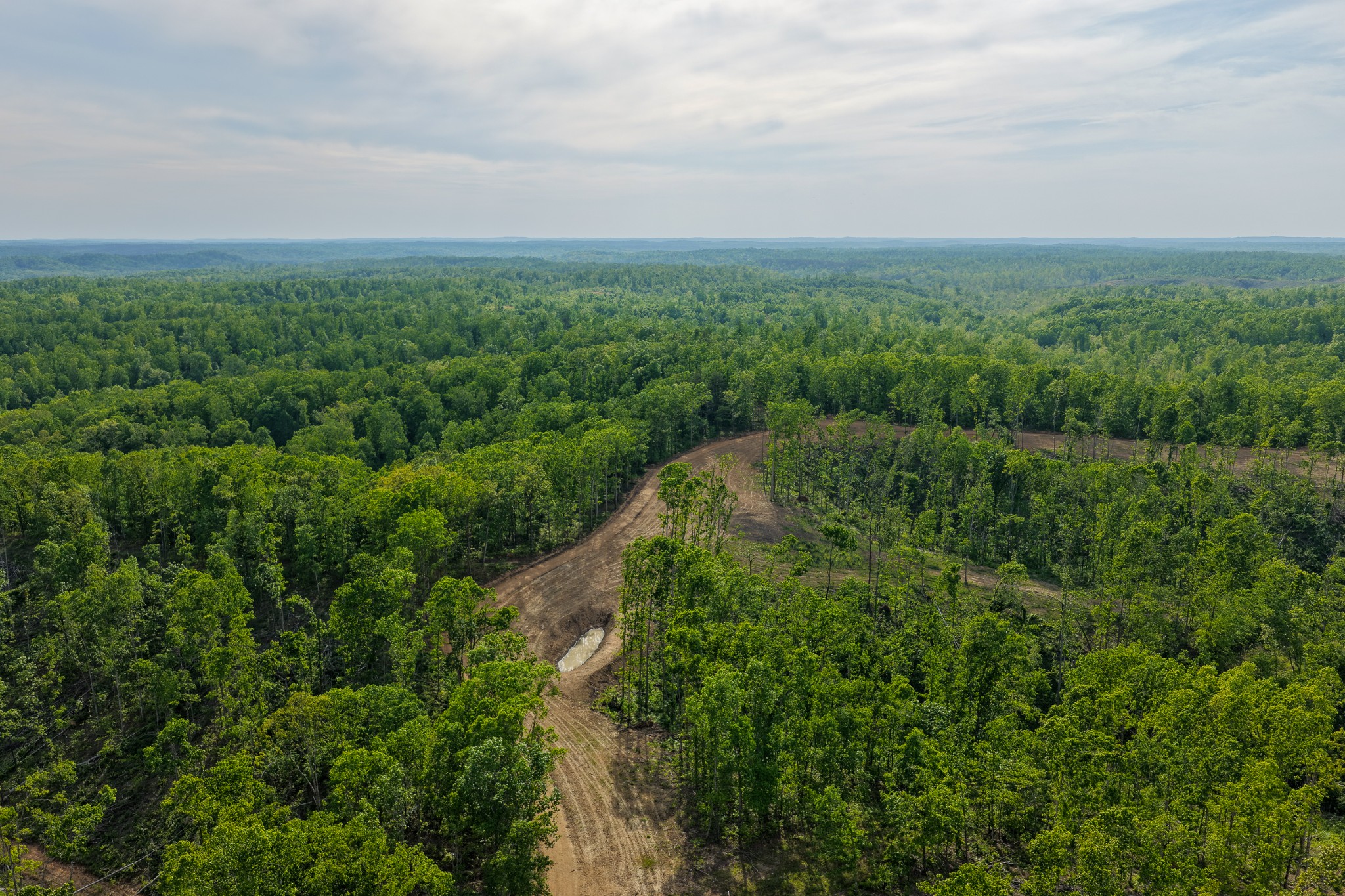 0 Fire Tower Road Centerville, TN 37033 - Photo 28 of 63 an aerial view of a city with lots of green space
