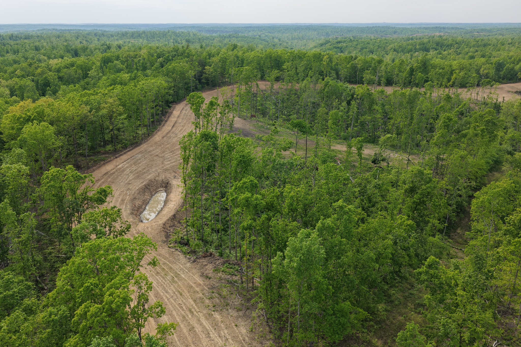0 Fire Tower Road Centerville, TN 37033 - Photo 29 of 63 a view of a forest with a street