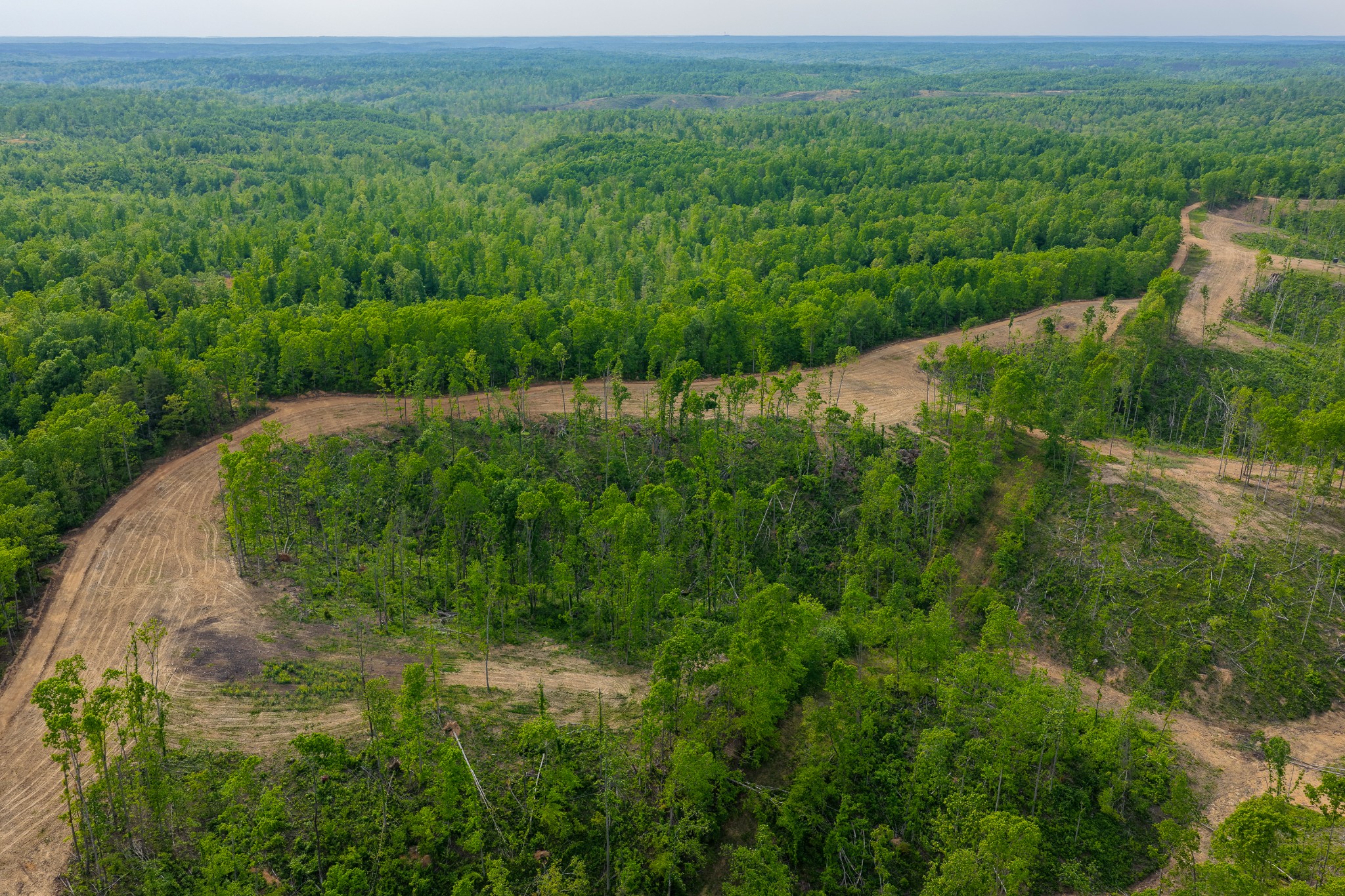 0 Fire Tower Road Centerville, TN 37033 - Photo 31 of 63 a view of a green yard with large trees