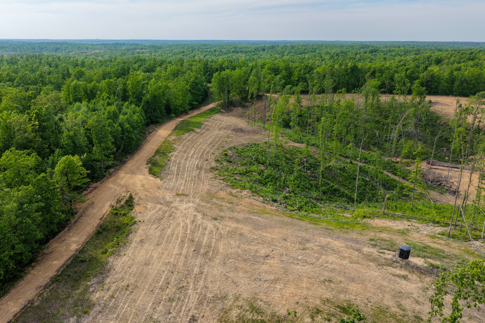 0 Fire Tower Road Centerville, TN 37033 - Photo 39 of 63 a view of a pathway with a yard
