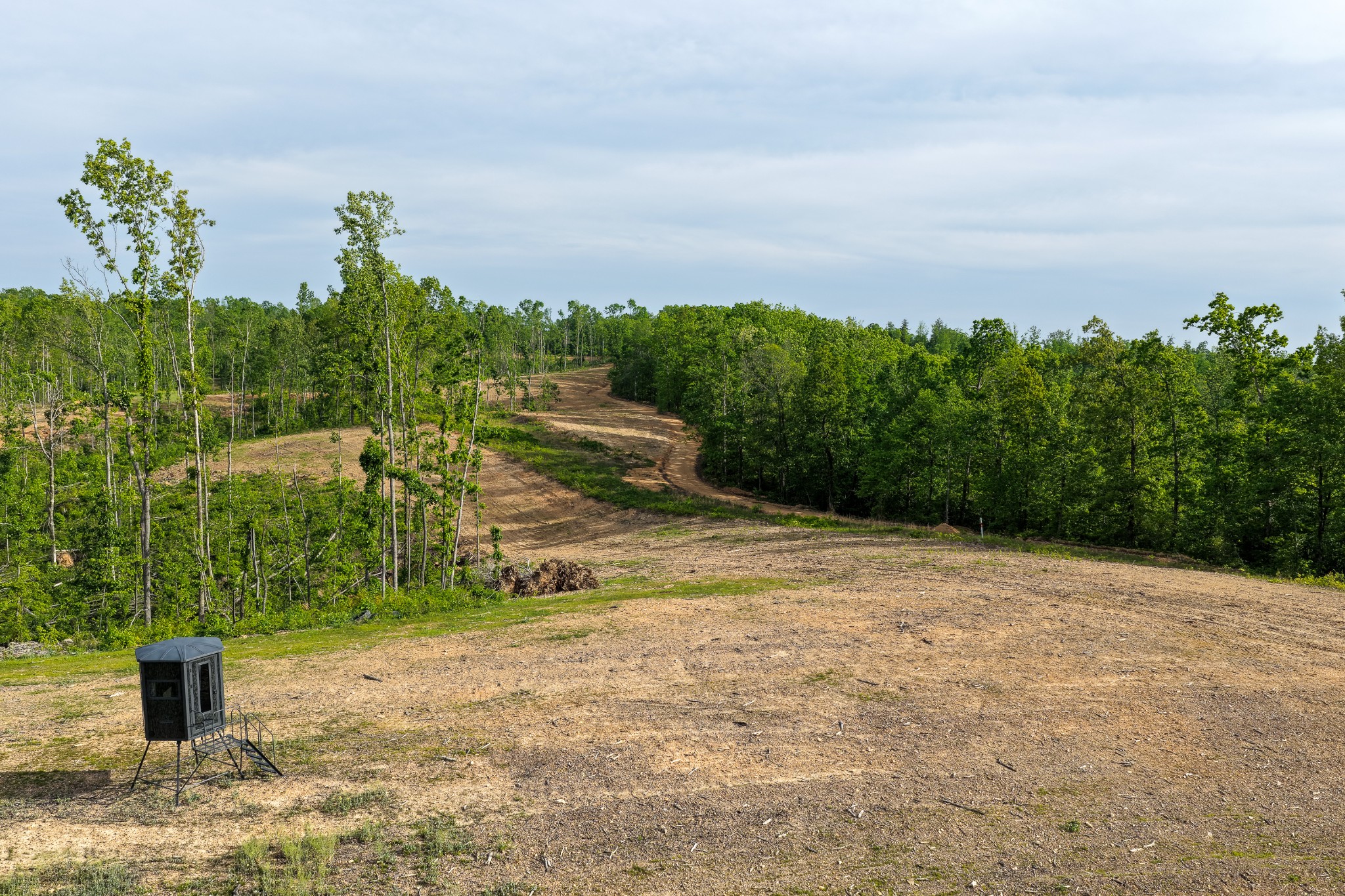 0 Fire Tower Road Centerville, TN 37033 - Photo 40 of 63 a pathway with a yard