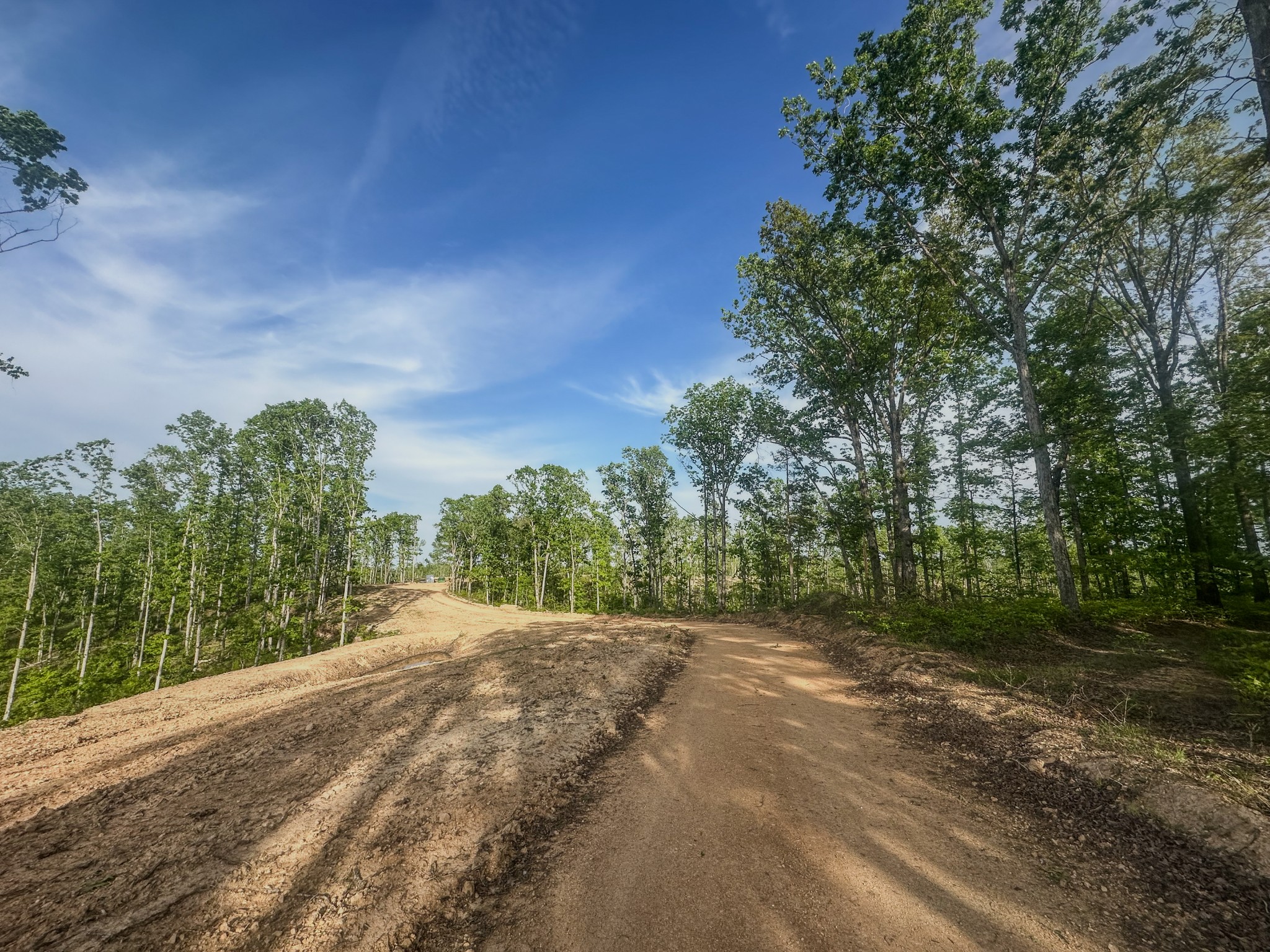 0 Fire Tower Road Centerville, TN 37033 - Photo 4 of 63 a view of a road with trees in the background
