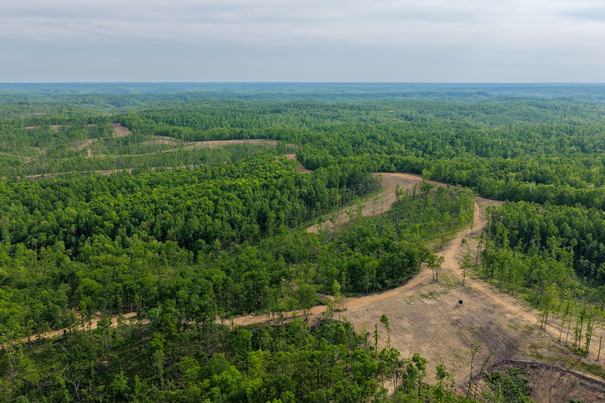 0 Fire Tower Road Centerville, TN 37033 - Photo 42 of 63