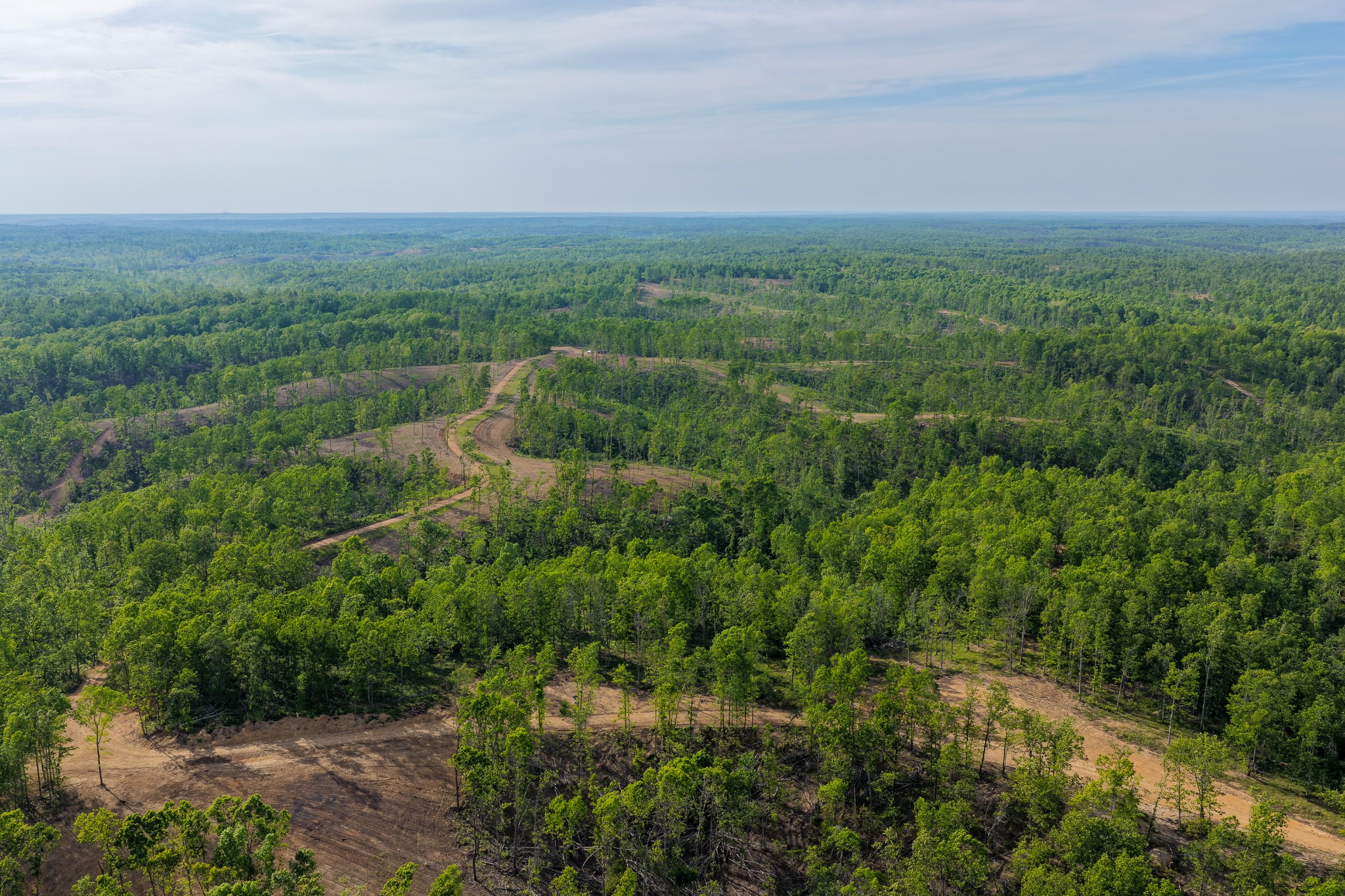 0 Fire Tower Road Centerville, TN 37033 - Photo 43 of 63