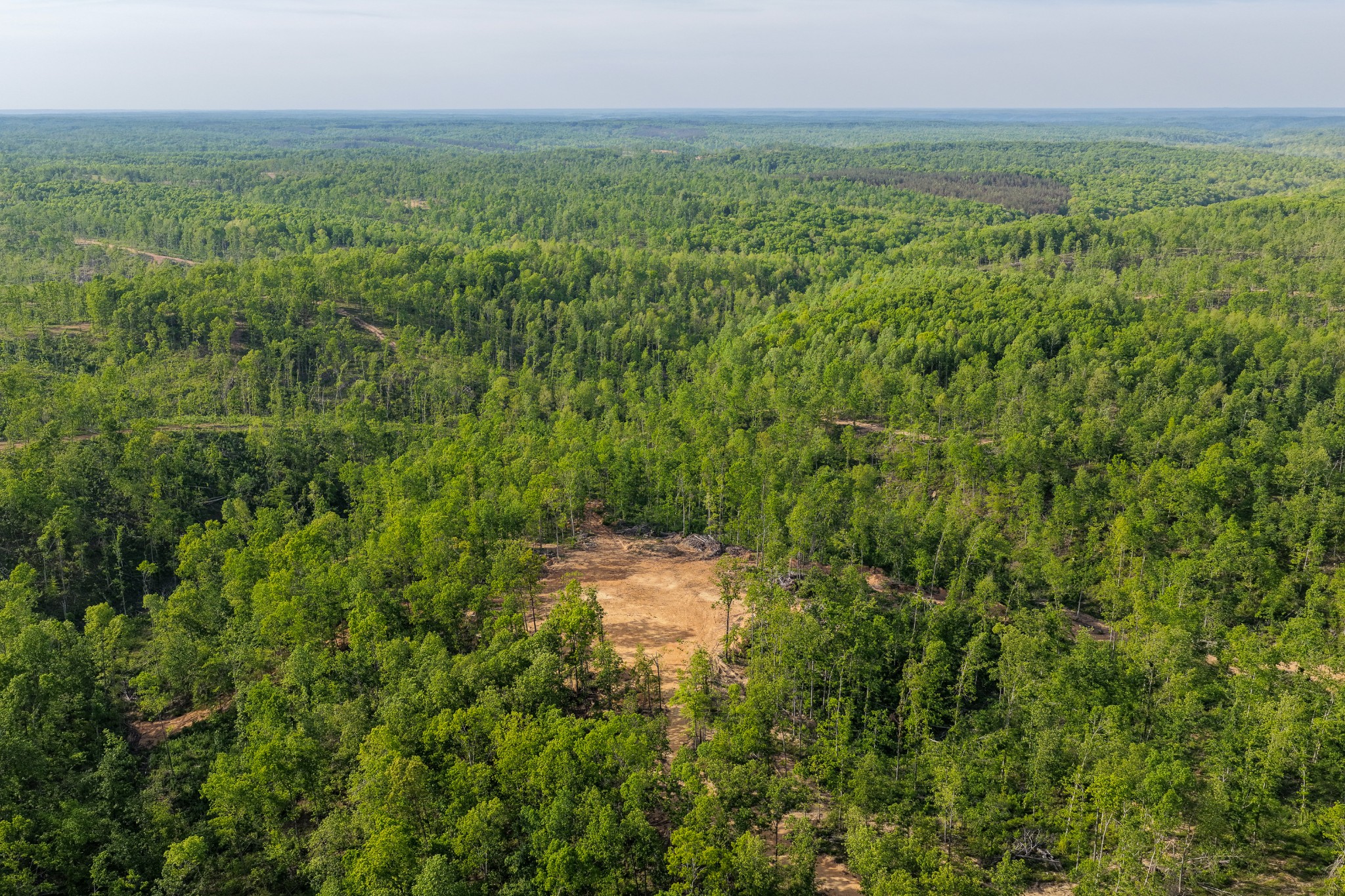 0 Fire Tower Road Centerville, TN 37033 - Photo 44 of 63 a view of a big yard with lots of green space