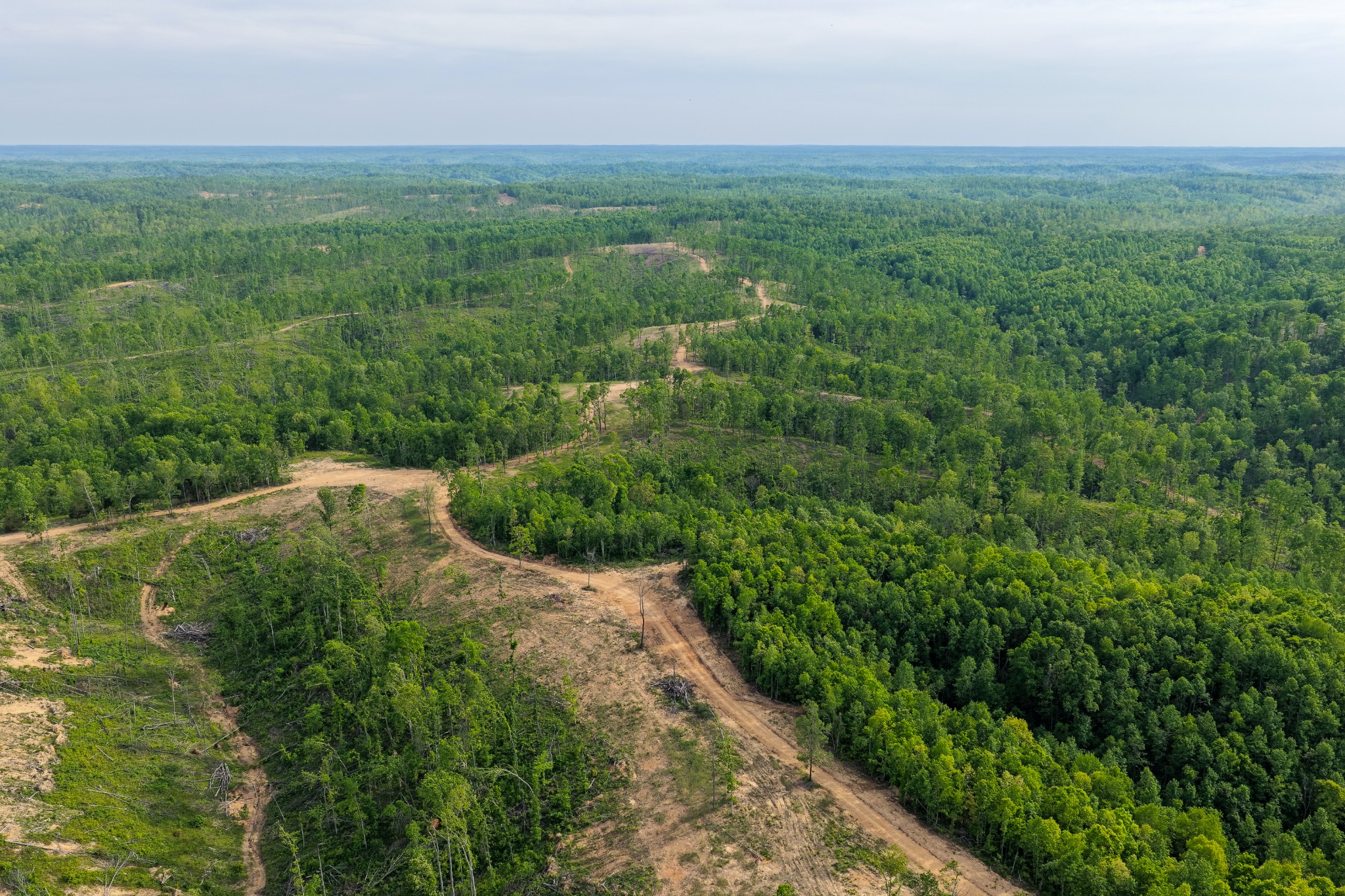 0 Fire Tower Road Centerville, TN 37033 - Photo 45 of 63 a view of a field with a tree