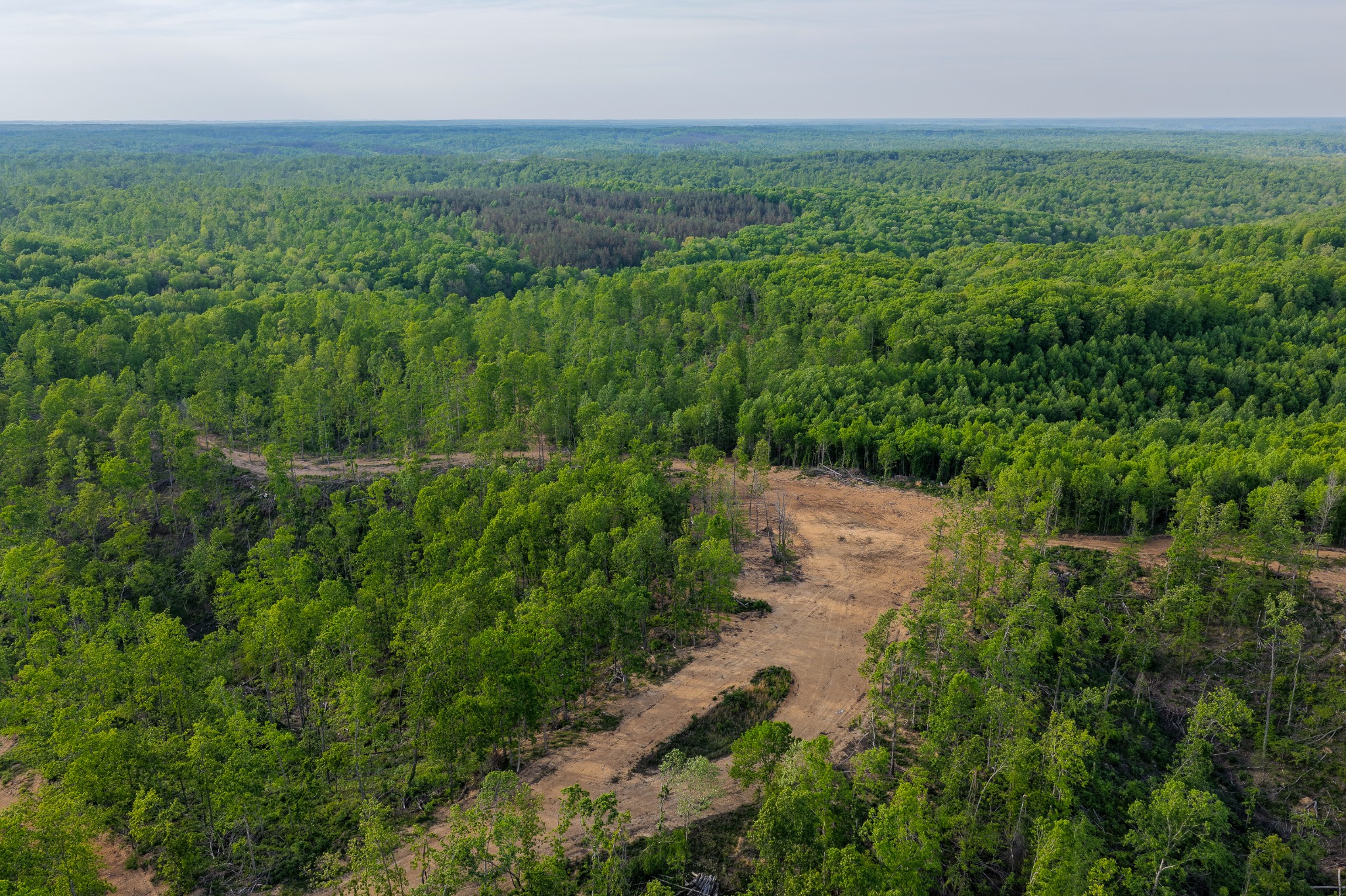 0 Fire Tower Road Centerville, TN 37033 - Photo 46 of 63 a view of a green field with lots of bushes