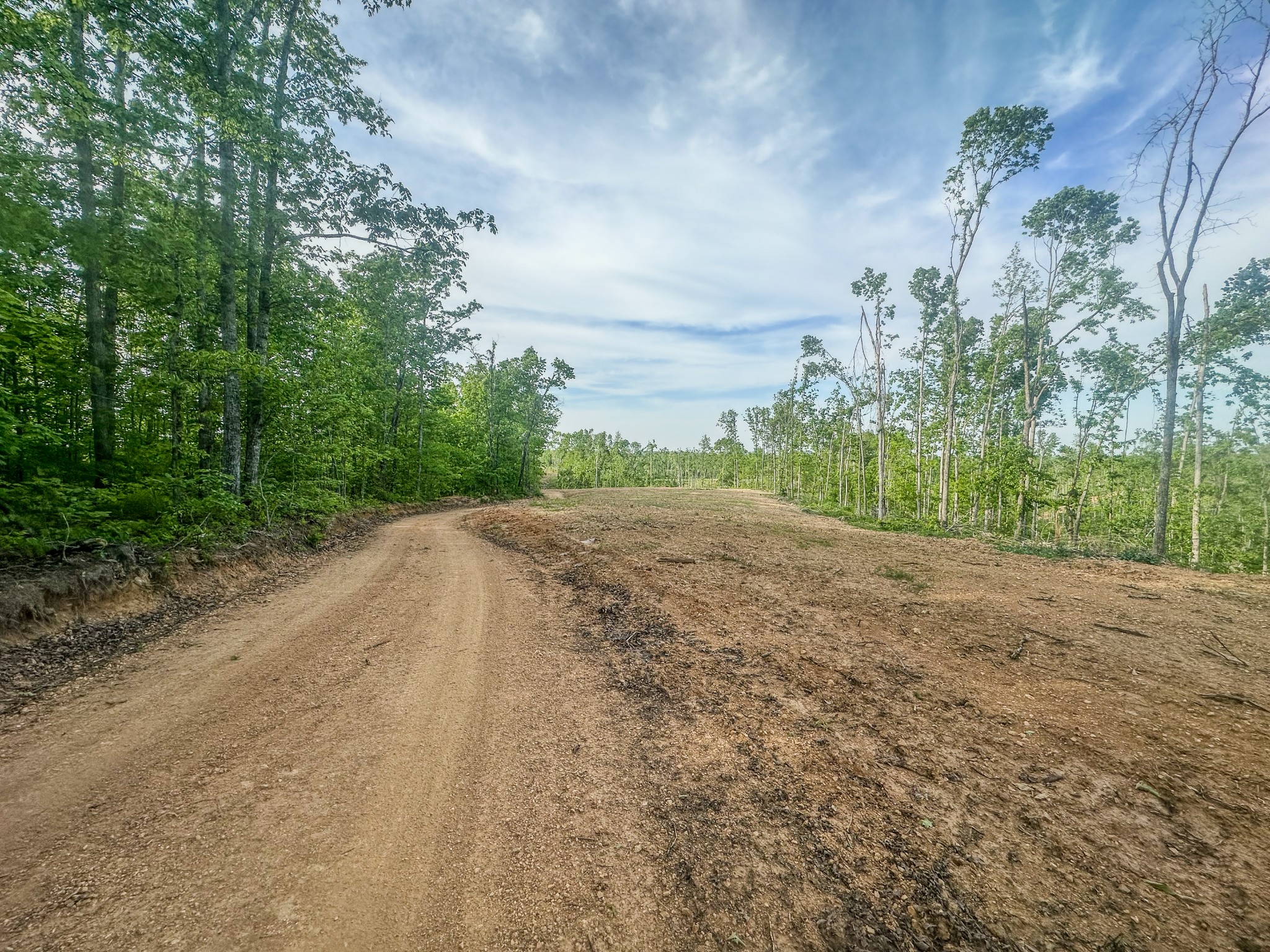 0 Fire Tower Road Centerville, TN 37033 - Photo 5 of 63 a view of a yard with large trees
