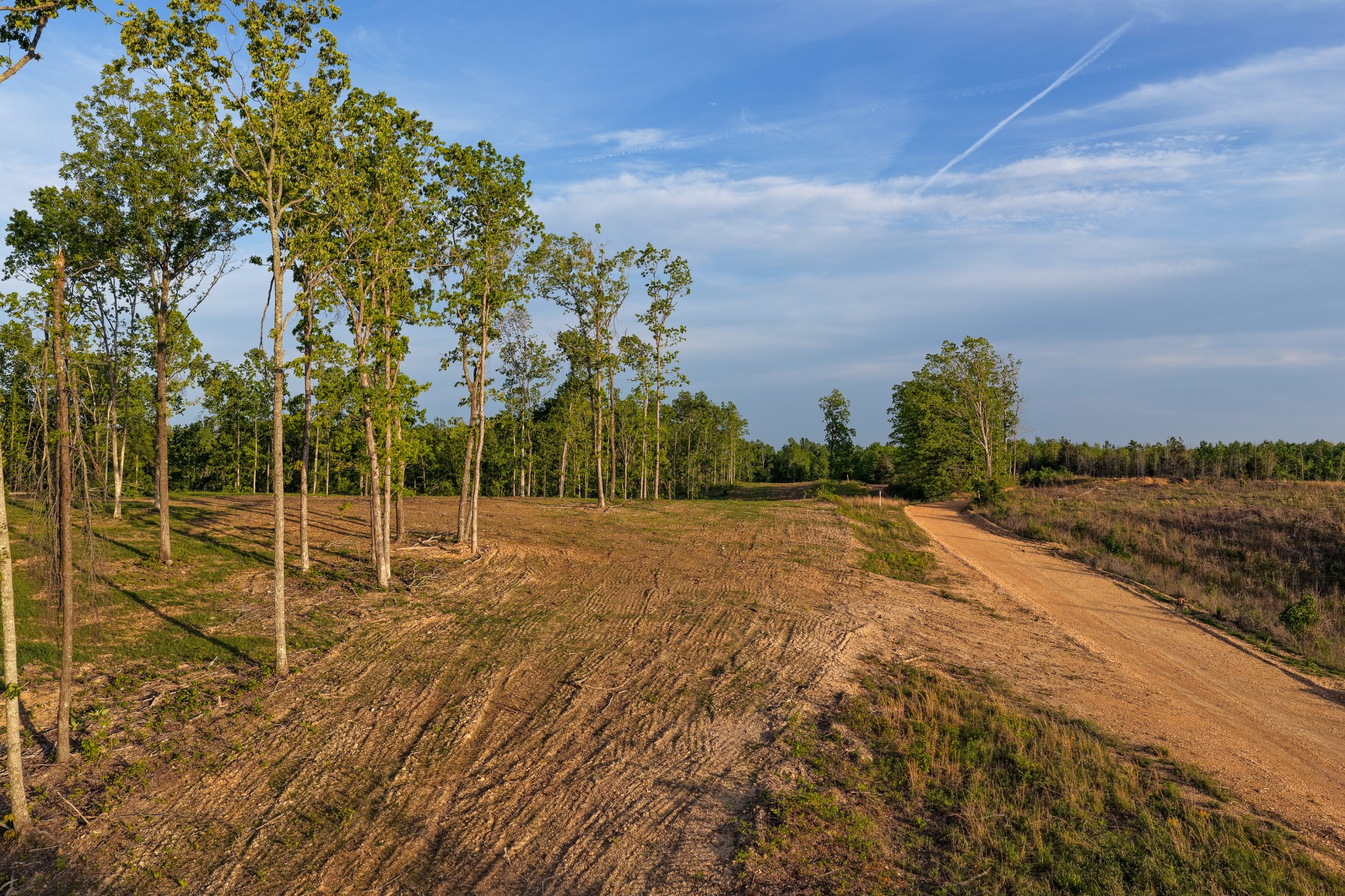 0 Fire Tower Road Centerville, TN 37033 - Photo 52 of 63 a view of a backyard