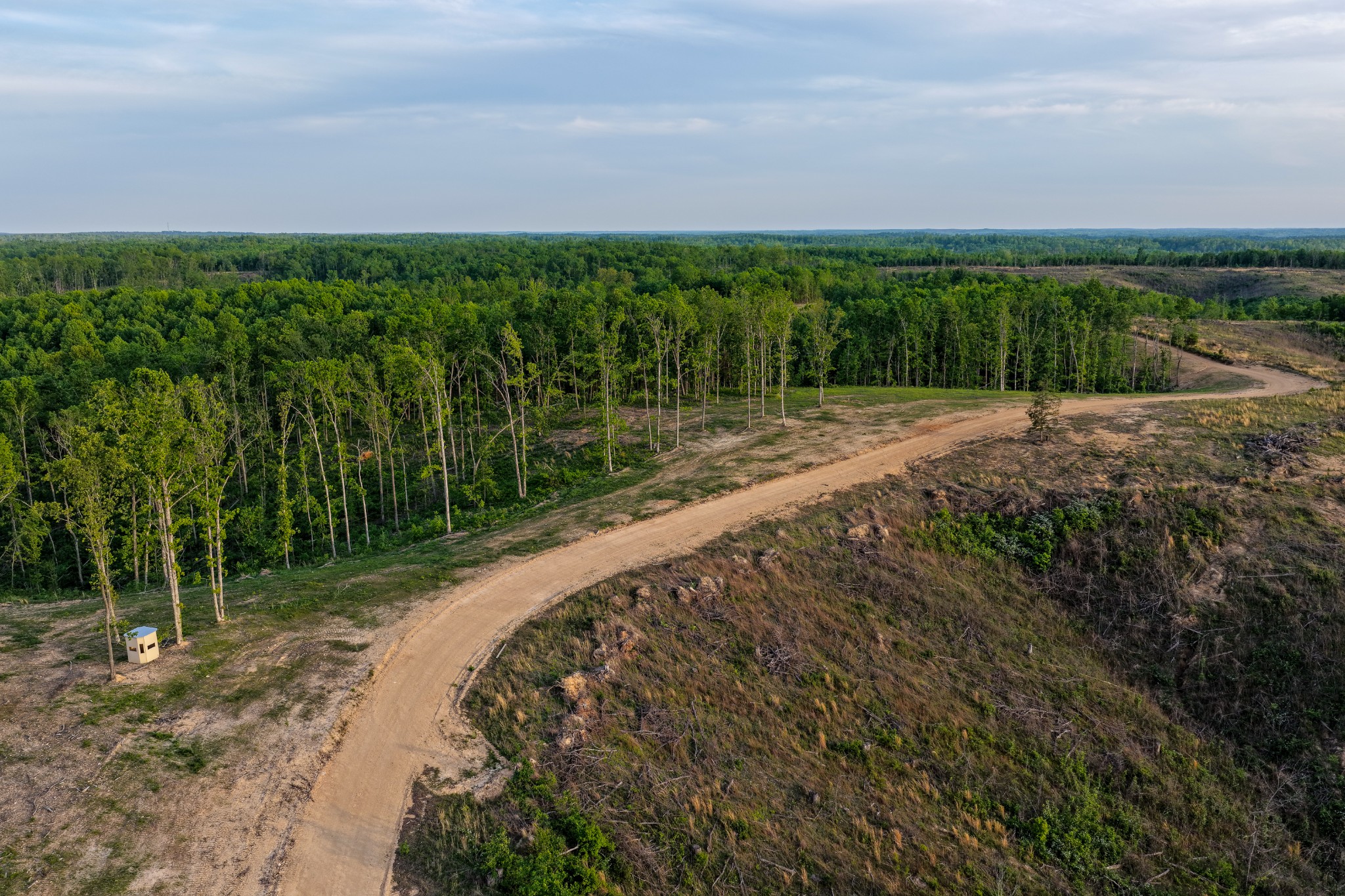 0 Fire Tower Road Centerville, TN 37033 - Photo 53 of 63 a view of a yard with a house