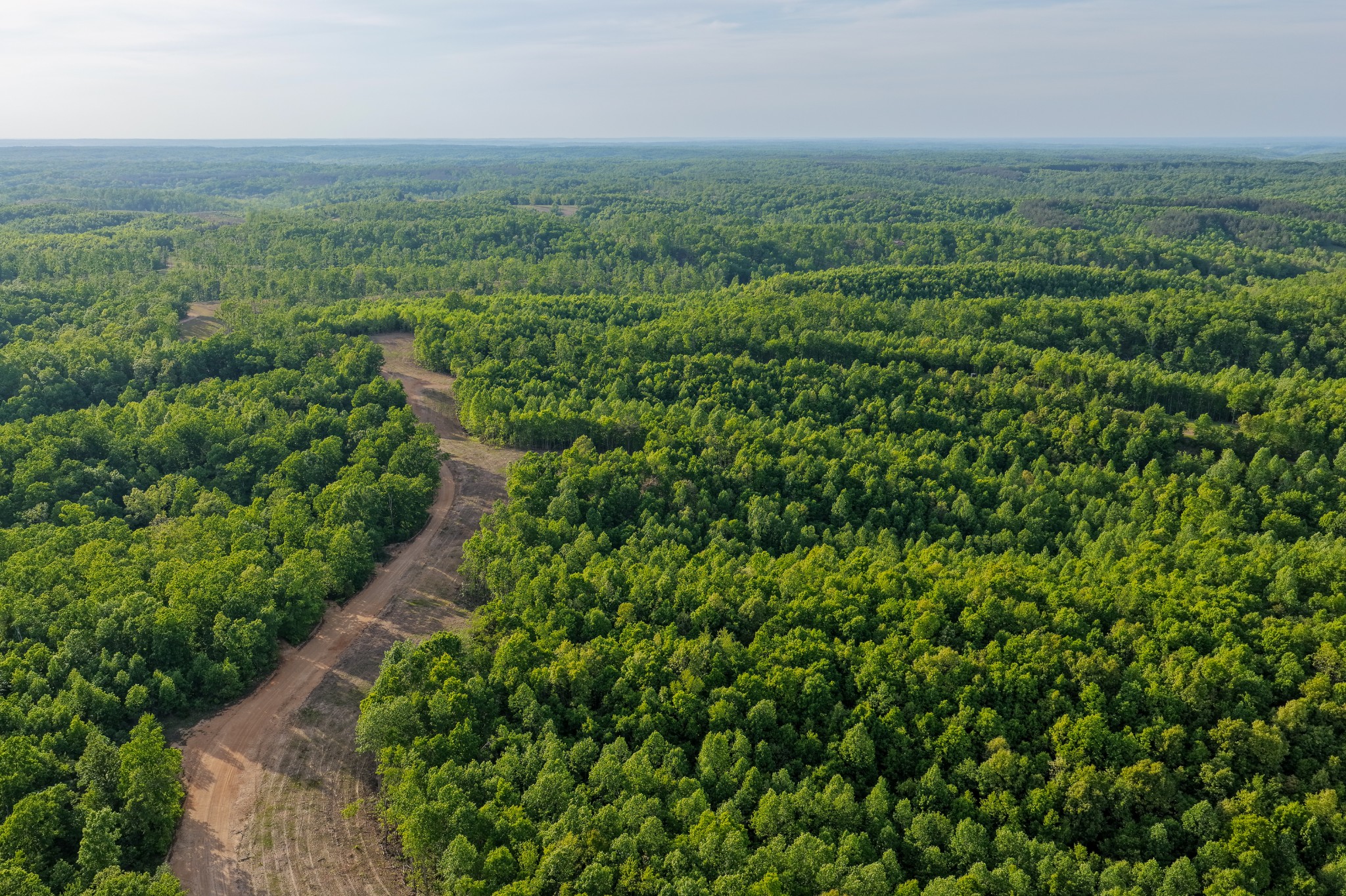 0 Fire Tower Road Centerville, TN 37033 - Photo 59 of 63 a view of a green field with lots of bushes