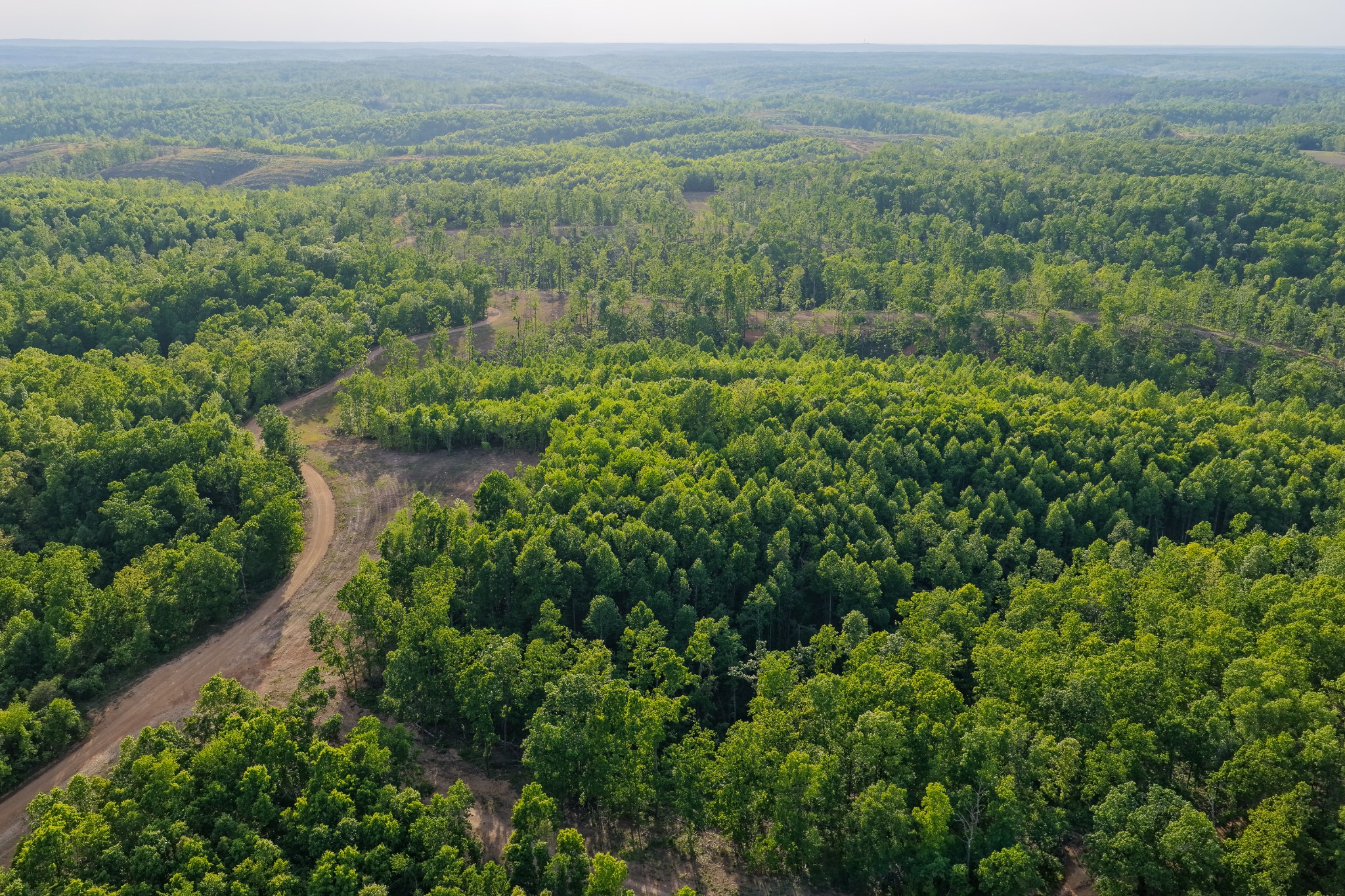 0 Fire Tower Road Centerville, TN 37033 - Photo 60 of 63 an aerial view of residential house with outdoor space and trees all around