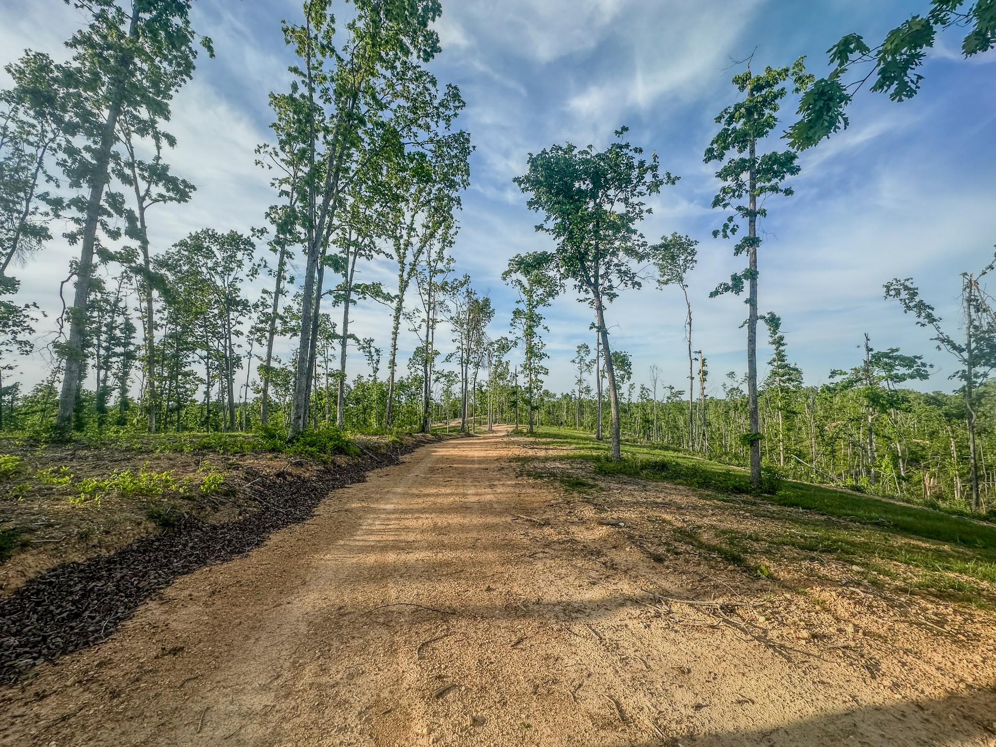 0 Fire Tower Road Centerville, TN 37033 - Photo 6 of 63 a view of a park with tree s