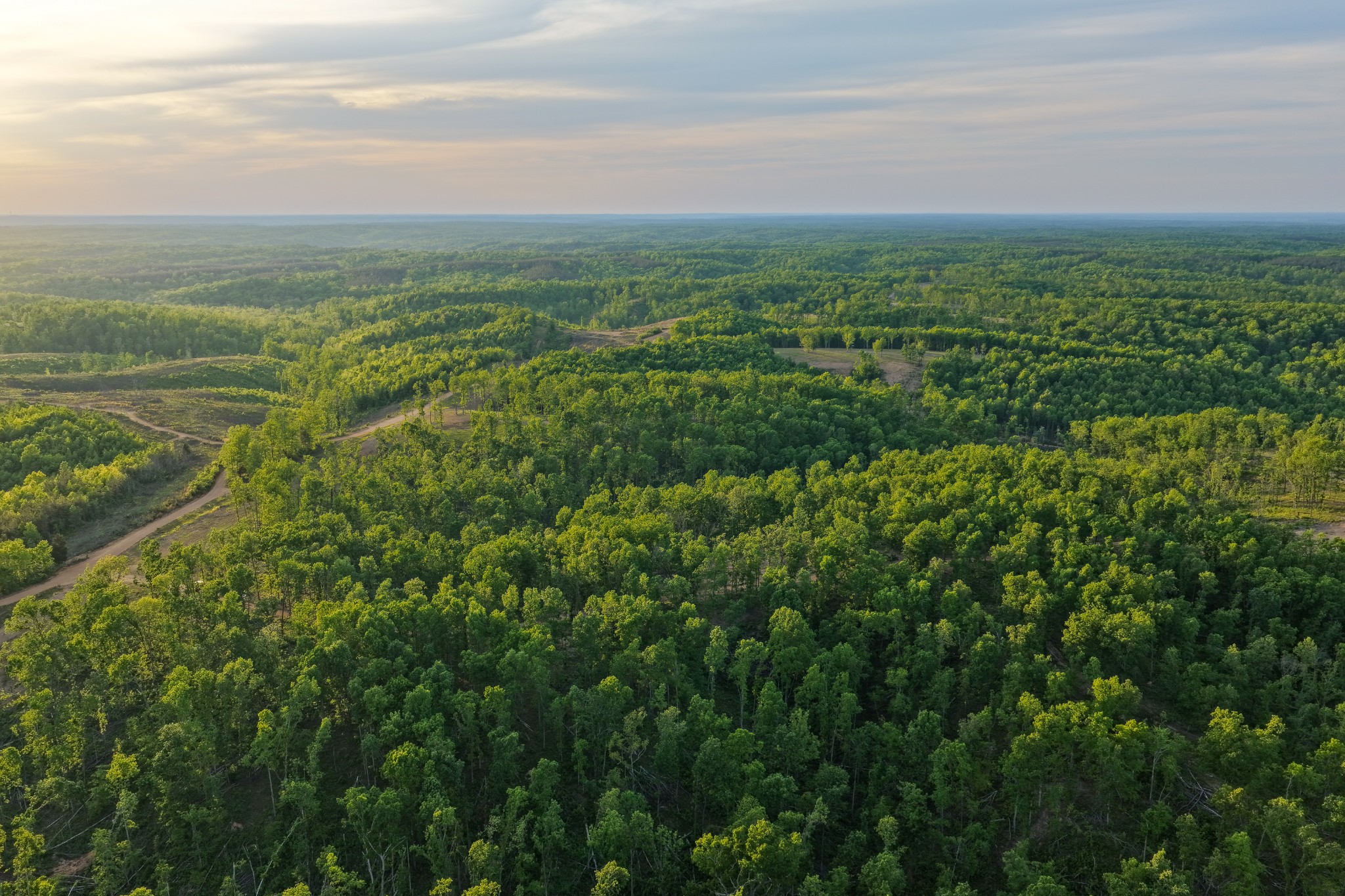 0 Fire Tower Road Centerville, TN 37033 - Photo 63 of 63 a view of a city with lush green forest