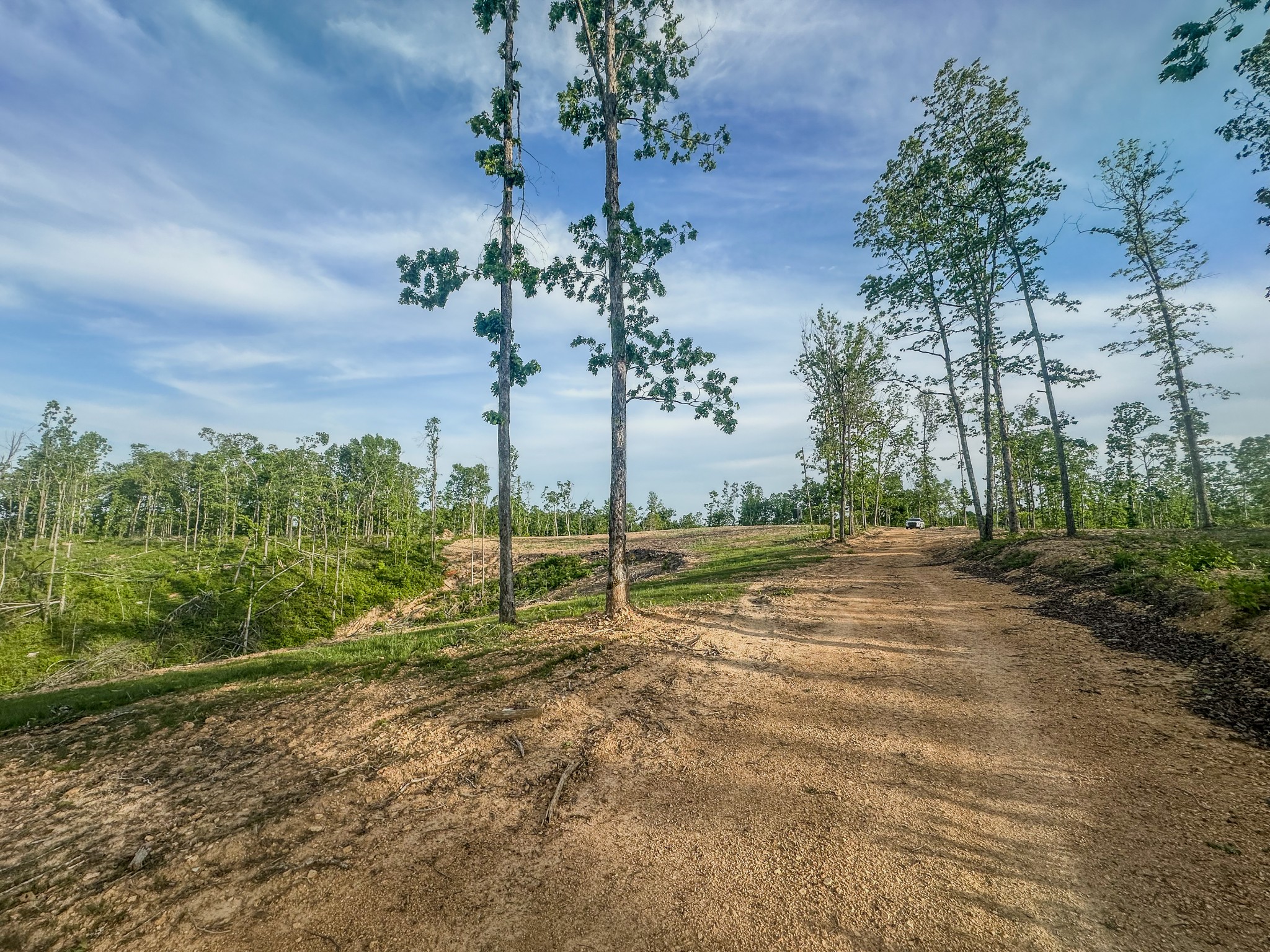 0 Fire Tower Road Centerville, TN 37033 - Photo 7 of 63 a view of a park