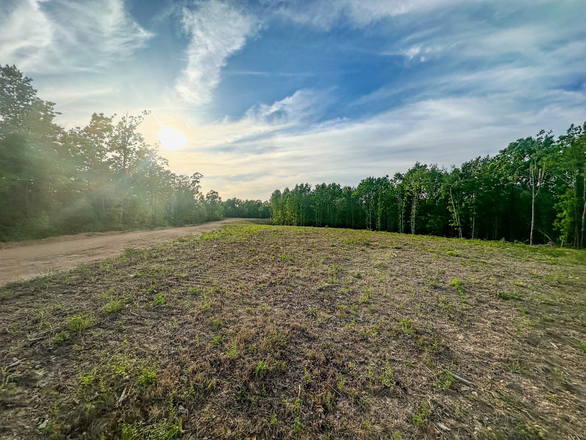 0 Fire Tower Road Centerville, TN 37033 - Photo 9 of 63 a view of a field with an outdoor space