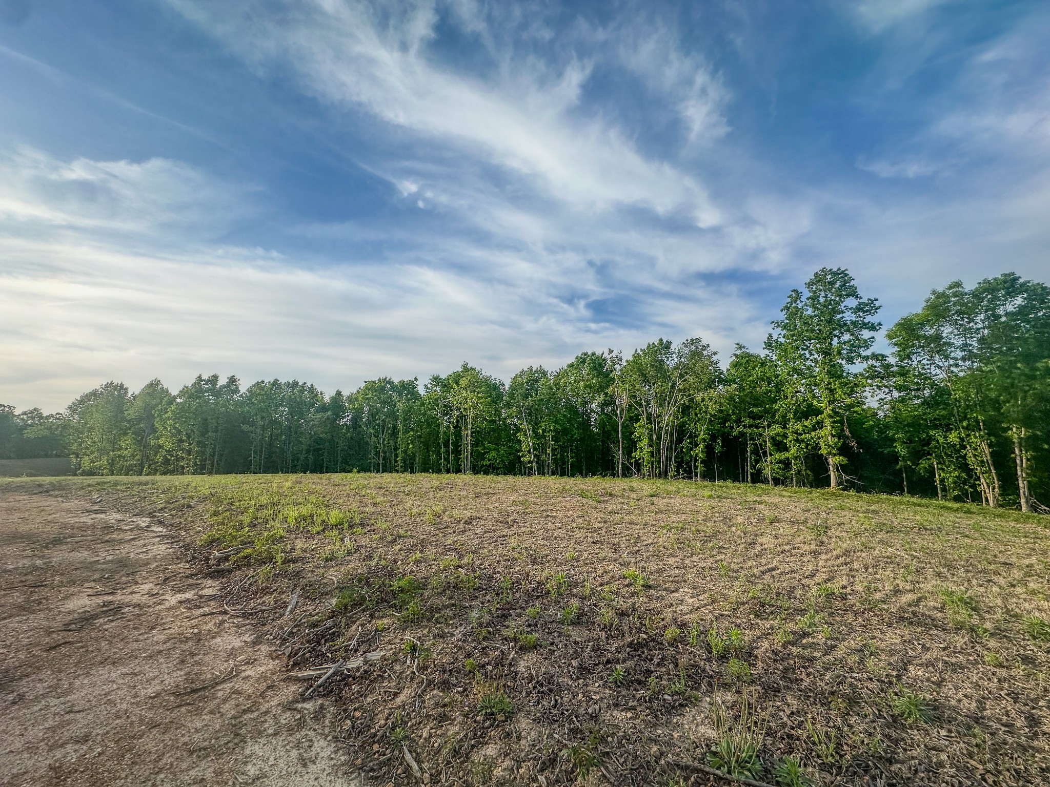 0 Fire Tower Road Centerville, TN 37033 - Photo 10 of 63 a view of outdoor space with yard and trees in the background