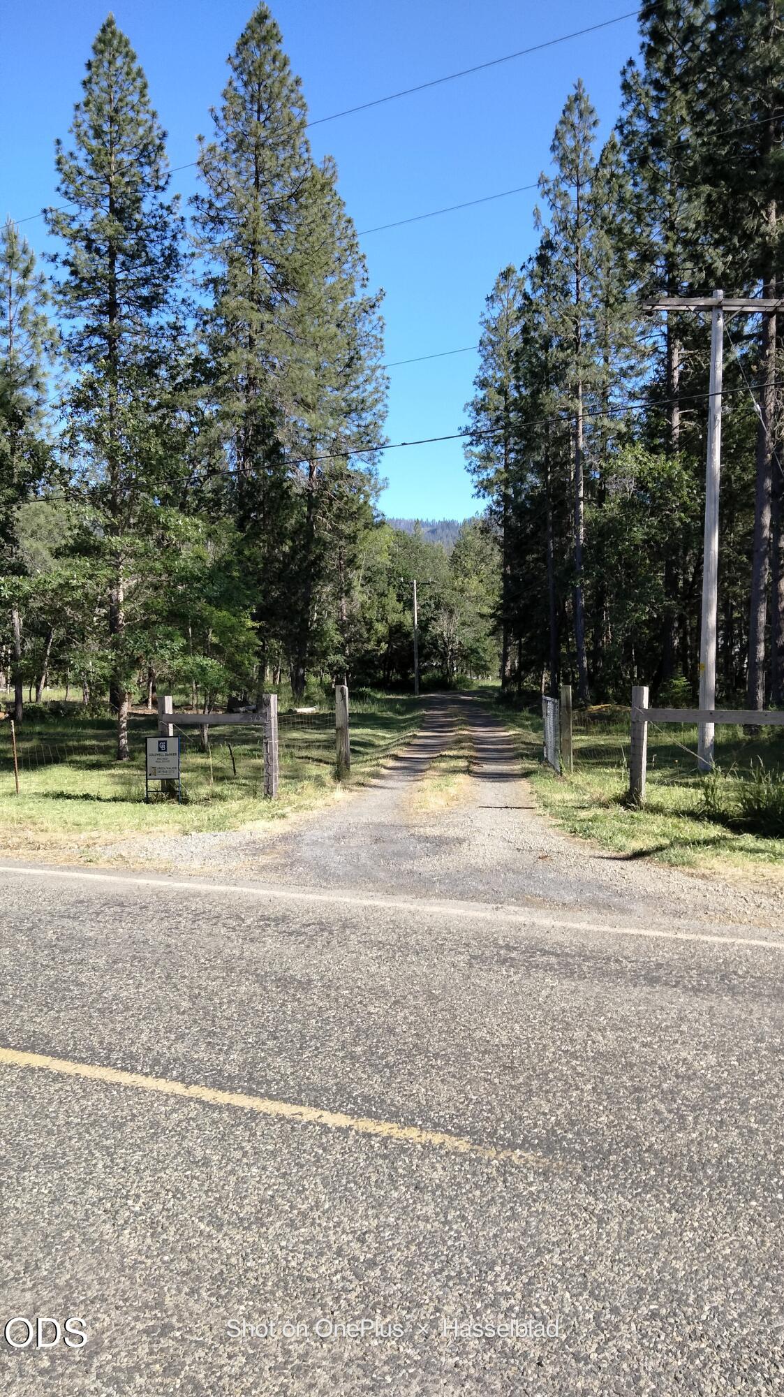 575 Kirkham Road Cave Junction, OR 97523 - Photo 5 of 50